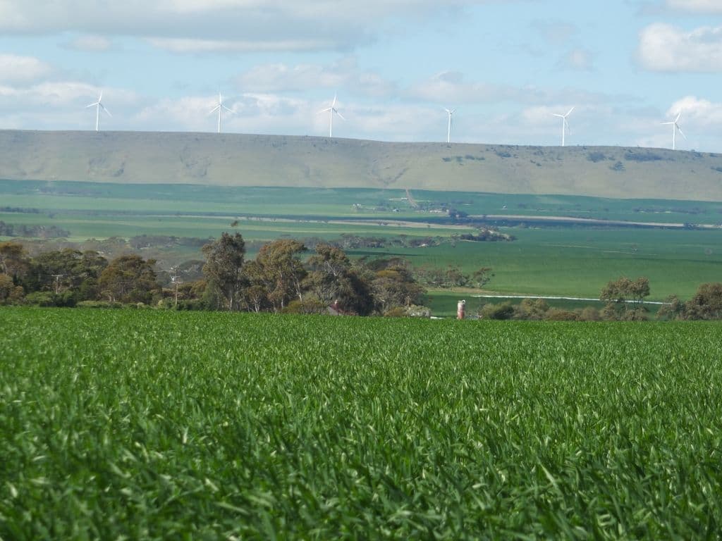 9 Upper Yorke Road, Bute SA 5560, Bute - Thumbnail 6