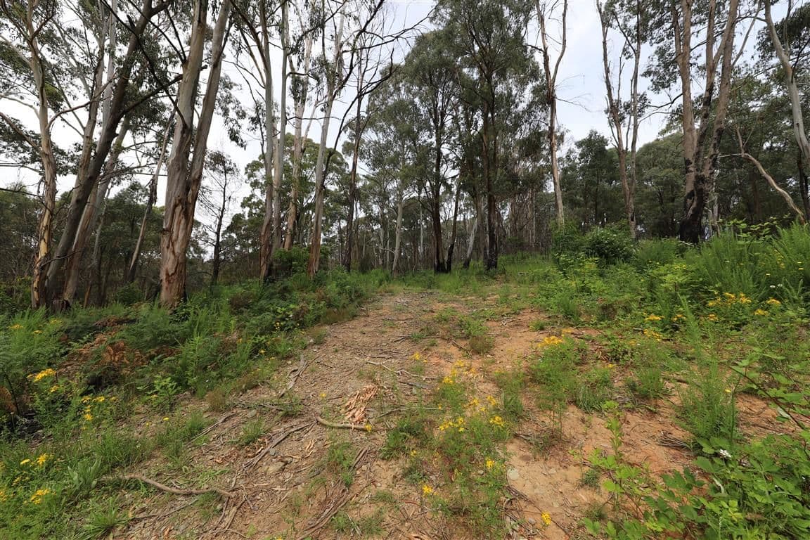 Lot 3 Alta Villa Road, Batlow NSW 2730, Batlow - Thumbnail 3