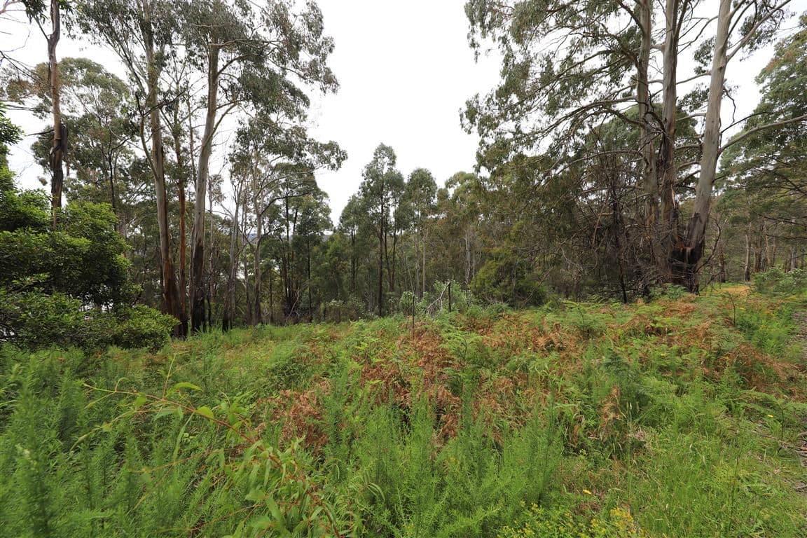 Lot 3 Alta Villa Road, Batlow NSW 2730, Batlow - Thumbnail 4