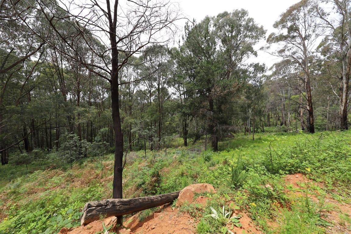Lot 3 Alta Villa Road, Batlow NSW 2730, Batlow - Thumbnail 6