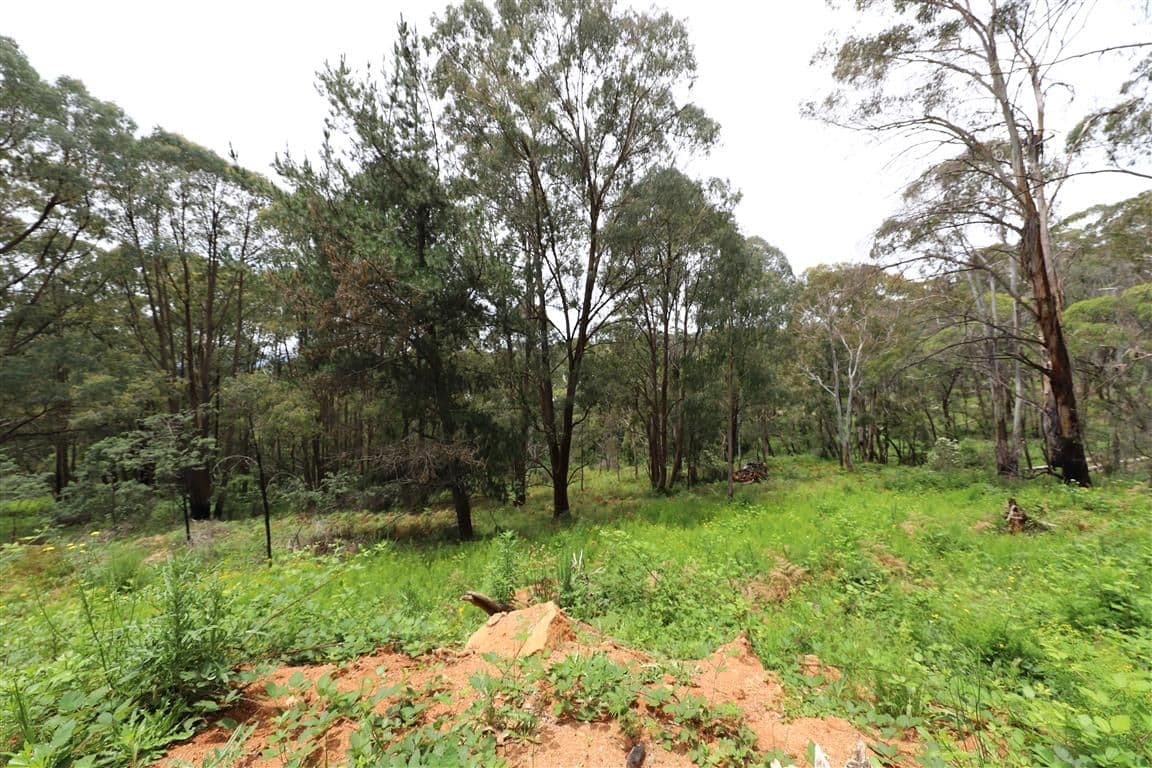 Lot 3 Alta Villa Road, Batlow NSW 2730, Batlow - Thumbnail 7