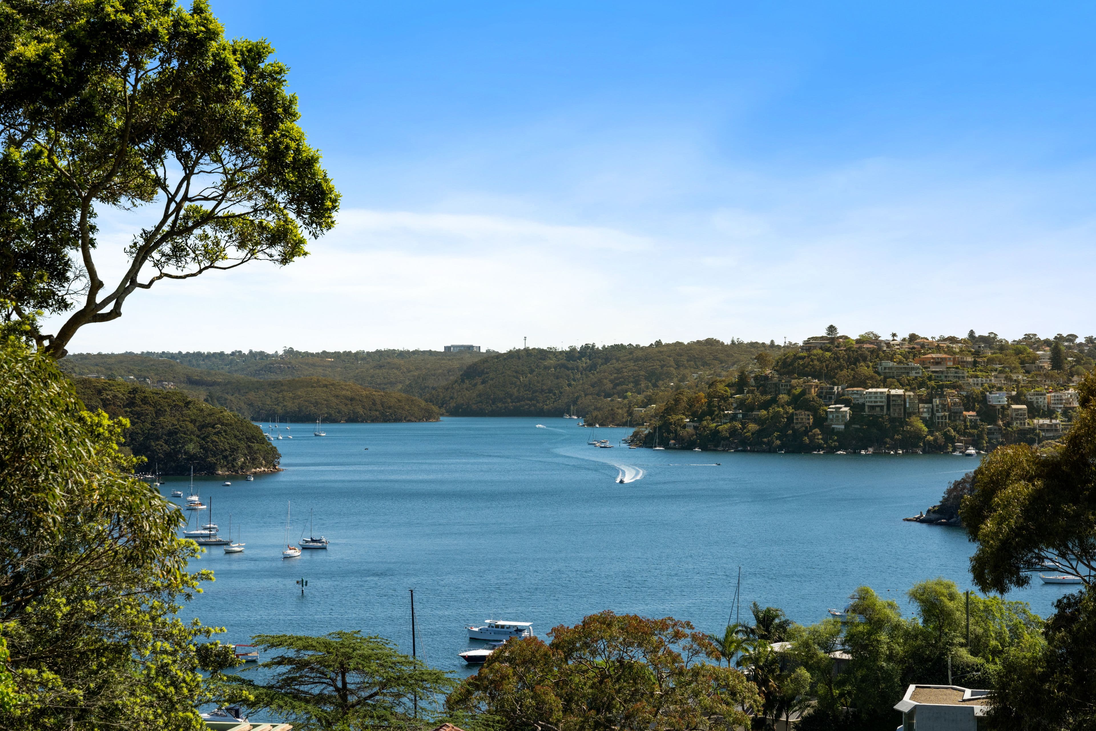 53 Wyong Road, Mosman NSW 2088, Mosman - Thumbnail 2