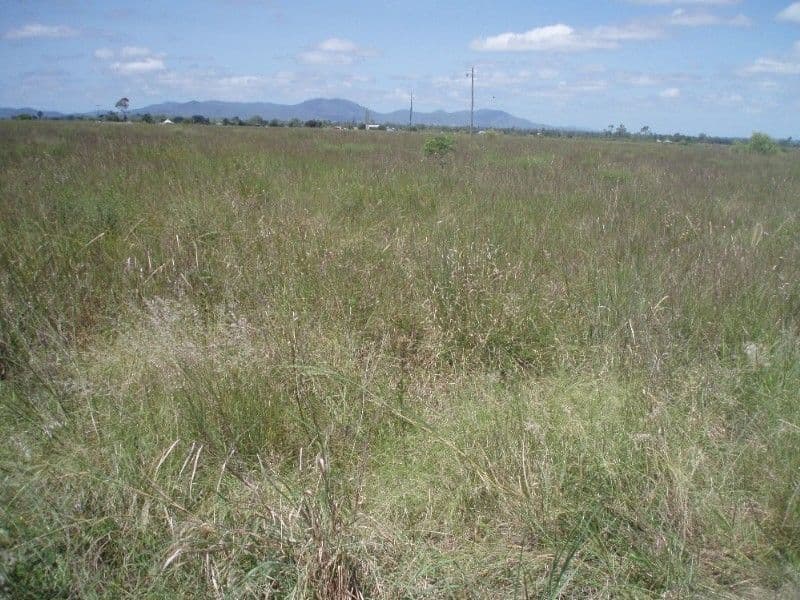 Lot 2 Ridgelands Road, ALTON DOWNS QLD 4702, Alton Downs - Thumbnail 5