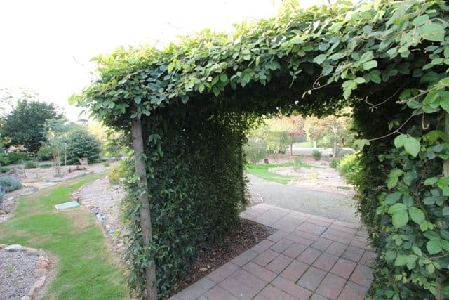 32 Commercial Road, WATERVALE SA 5452, Watervale - Thumbnail 5