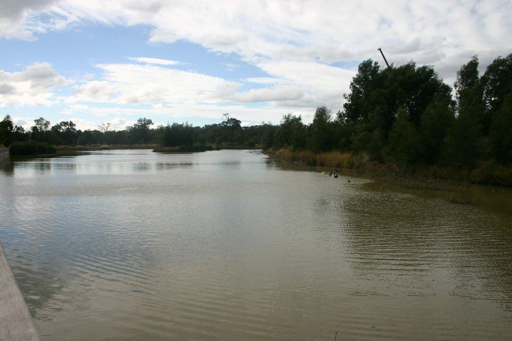 5 Bronzewing Terrace, Bella Vista NSW 2153, Bella Vista - Thumbnail 2