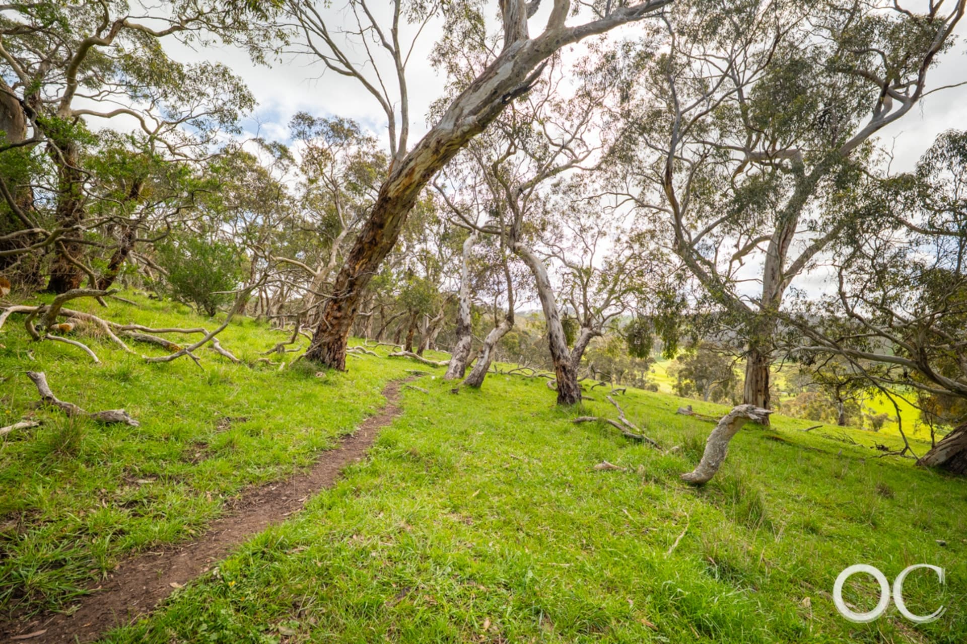 Lot 37 Old Coach Road, Hindmarsh Valley - Thumbnail 7