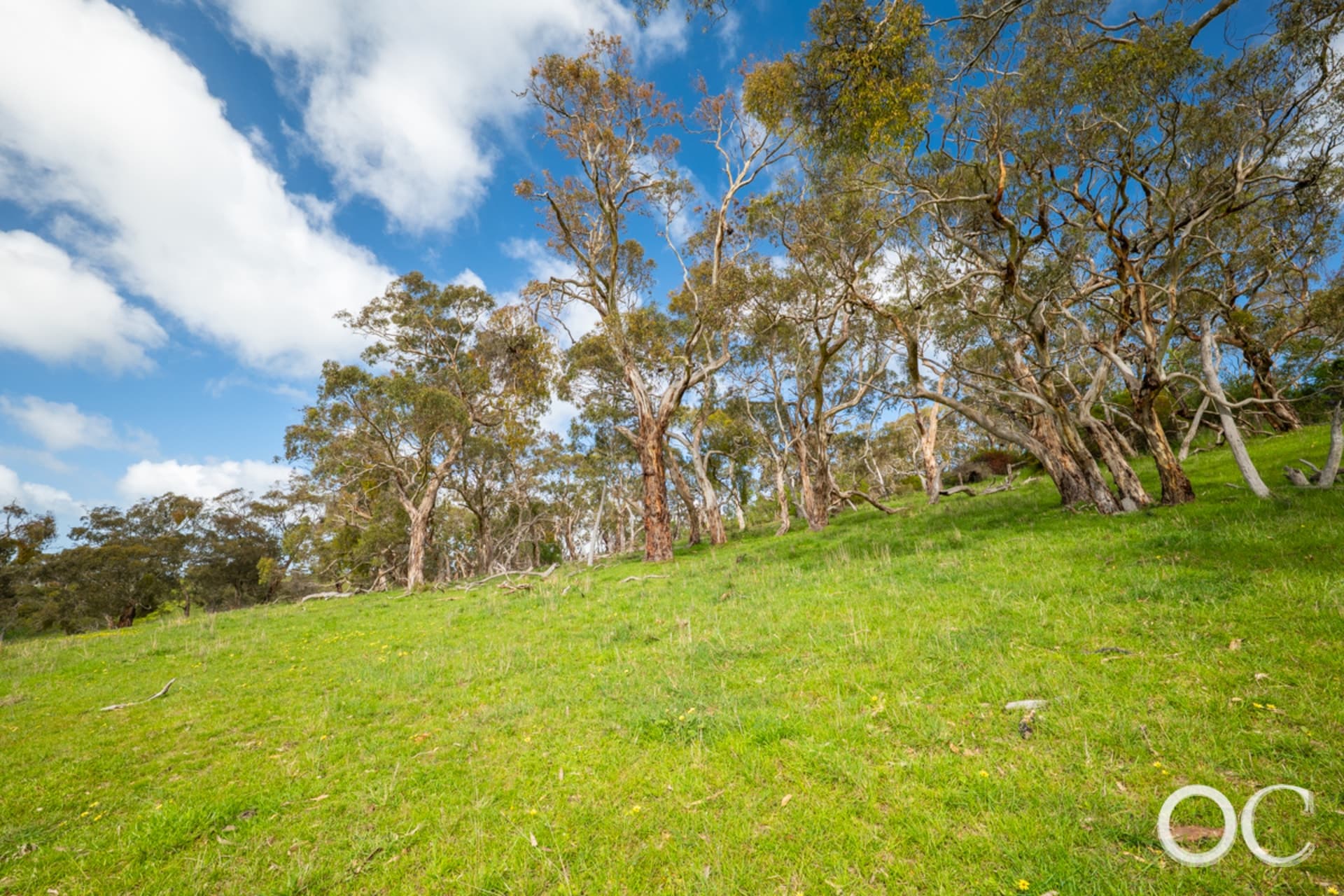 Lot 37 Old Coach Road, Hindmarsh Valley - Thumbnail 8