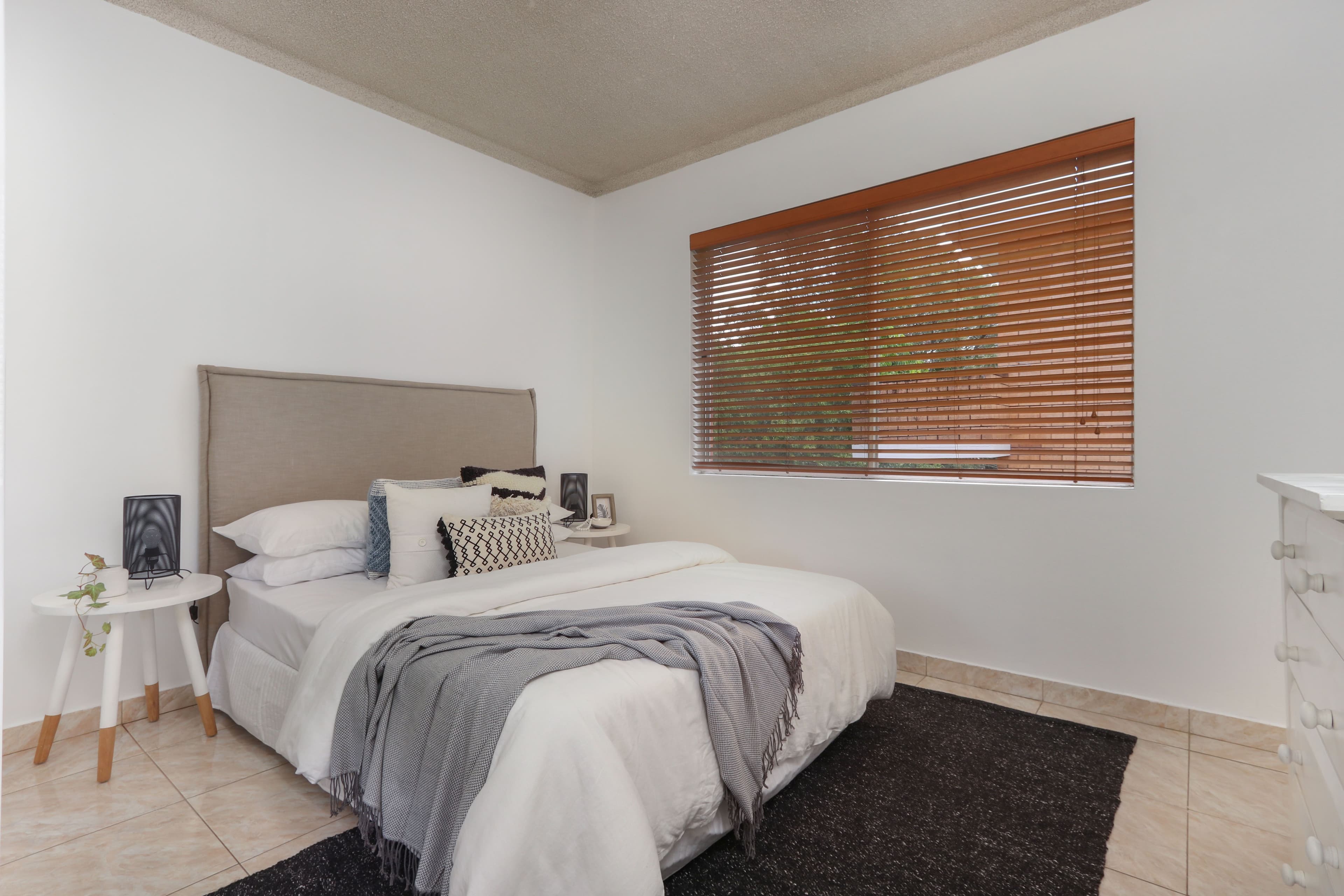 3 Short Street, Carlton NSW 2218, Carlton - Thumbnail 5