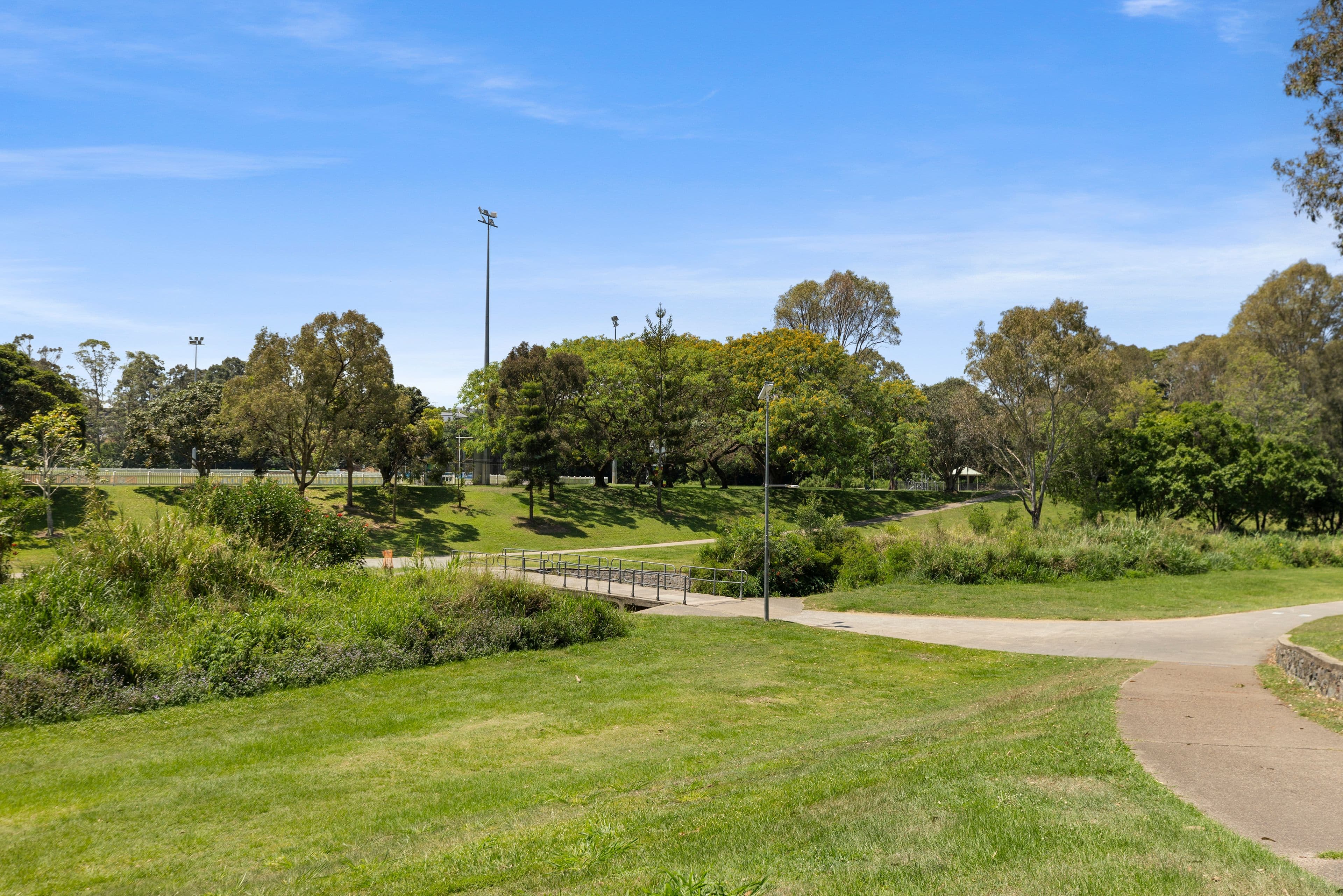 33 Cheviot Street, Grange QLD 4051, Grange - Thumbnail 8