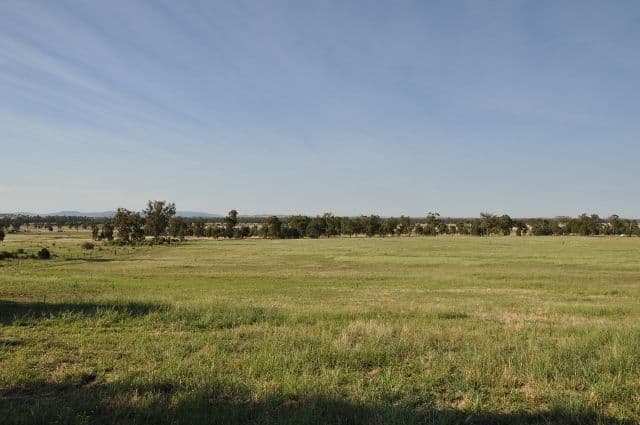 8183 The Escort Way, Eugowra NSW 2806, Eugowra - Thumbnail 3