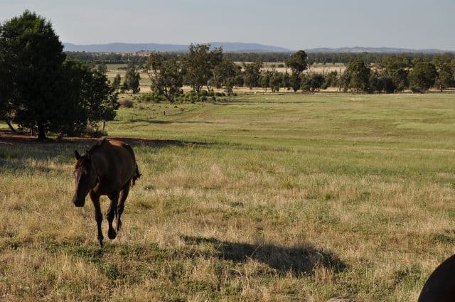 8183 The Escort Way, Eugowra NSW 2806, Eugowra - Thumbnail 4
