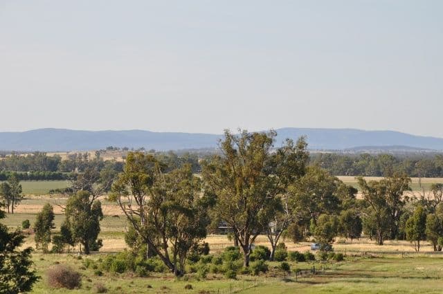 8183 The Escort Way, Eugowra NSW 2806, Eugowra - Thumbnail 6