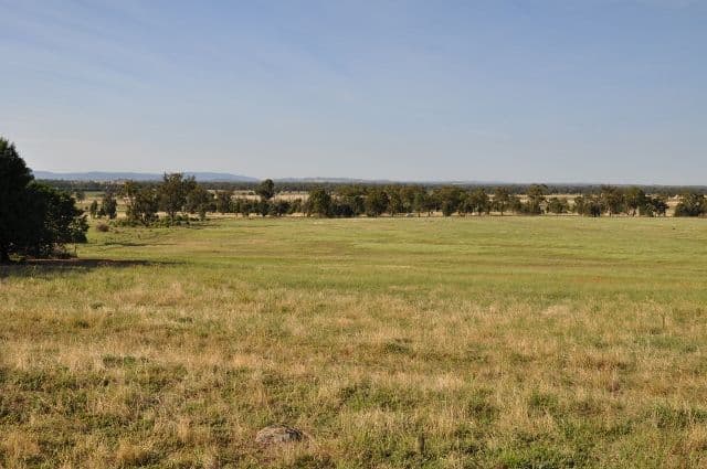 8183 The Escort Way, Eugowra NSW 2806, Eugowra - Thumbnail 7