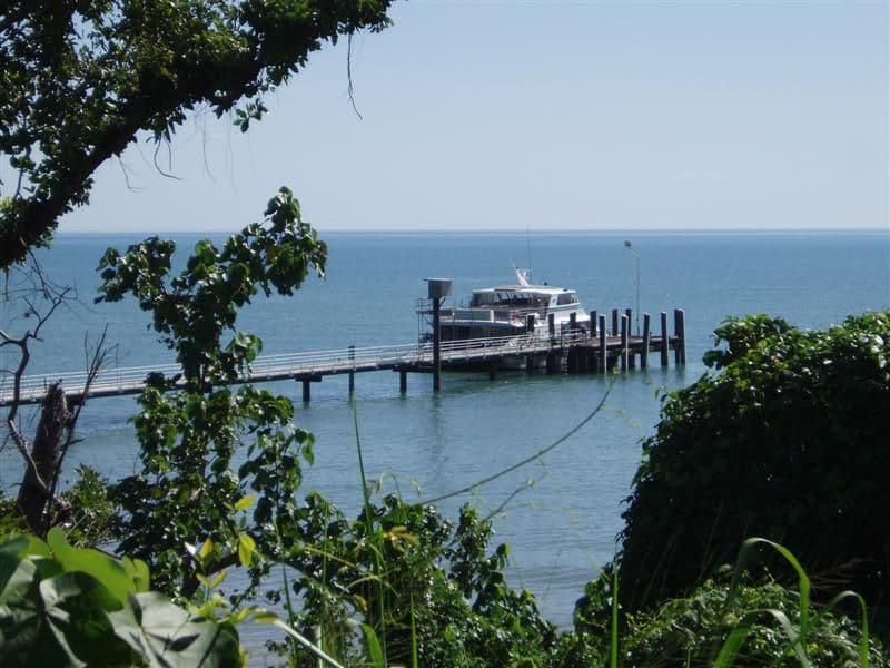 Lot 14 Unsworth Drive, MISSION BEACH QLD 4852, Mission Beach - Thumbnail 6