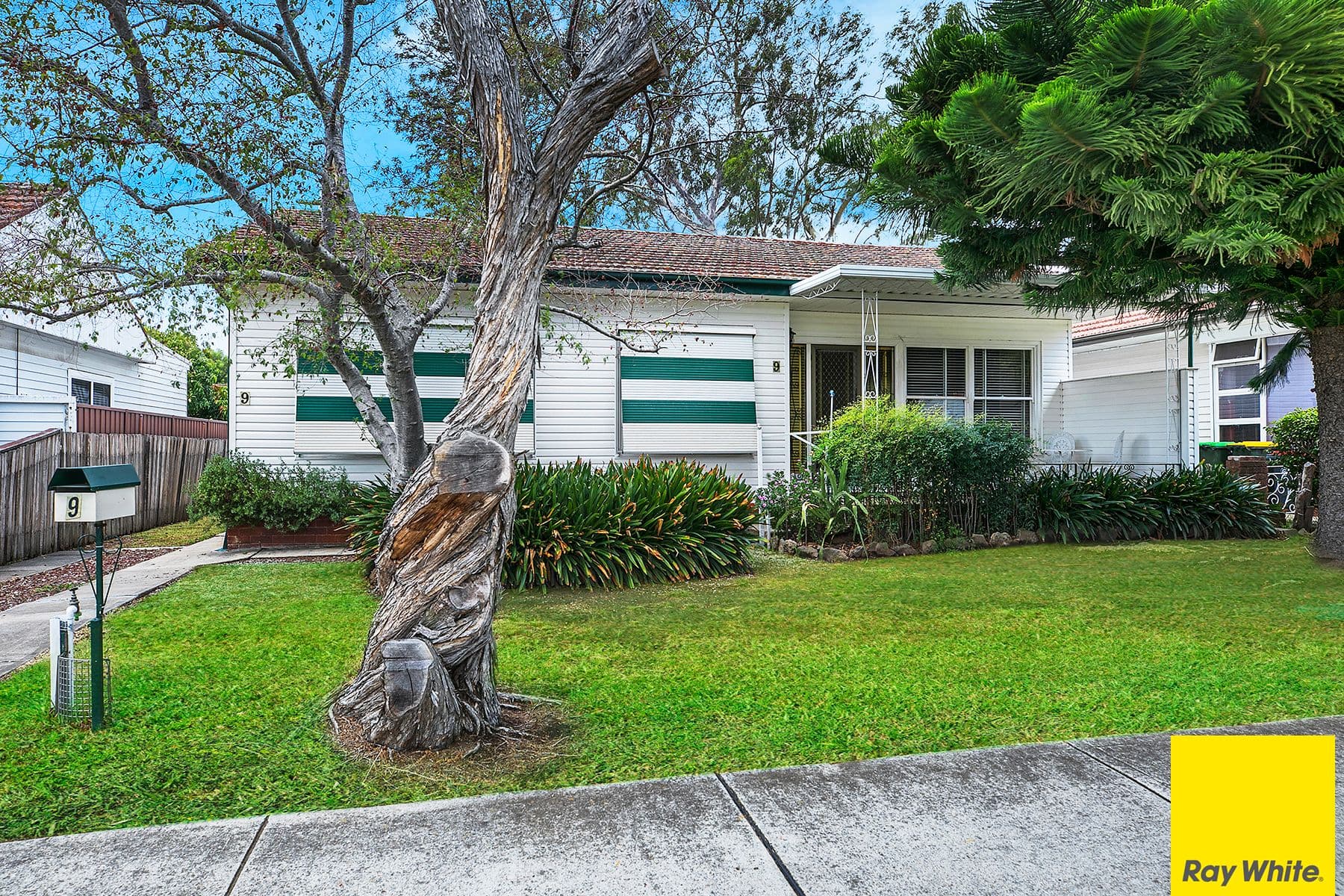 9 Glyn Street, Wiley Park - Image 1