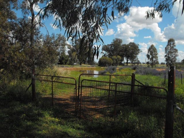 Lumeah Jackson Street, PEAK HILL NSW 2869, Peak Hill - Thumbnail 2