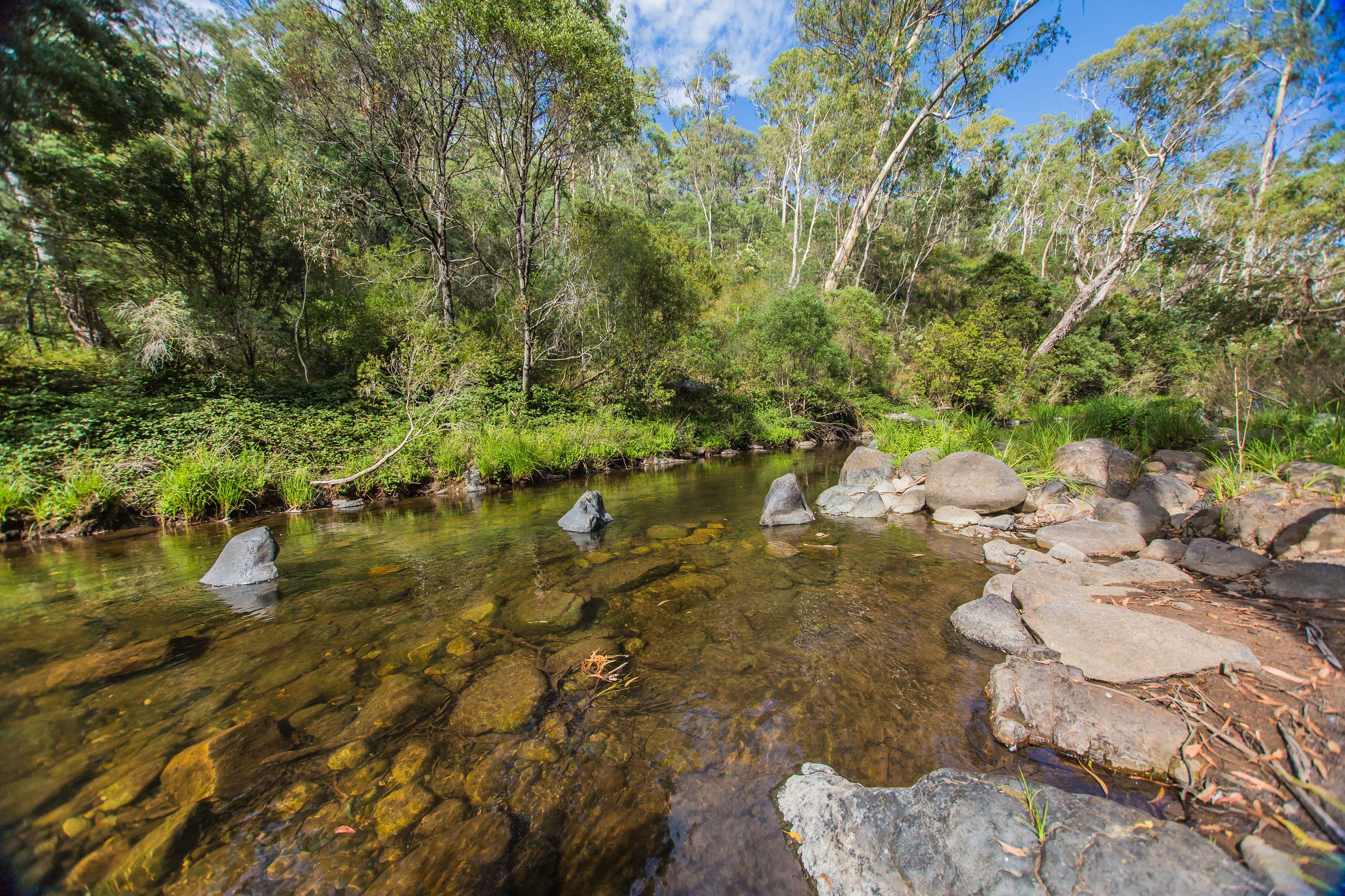 1624 Buller Street, Howqua Hills VIC 3723, Howqua Hills - Thumbnail 7