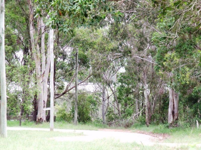 115 Laurel Street, RUSSELL ISLAND QLD 4184, Russell Island - Image 1