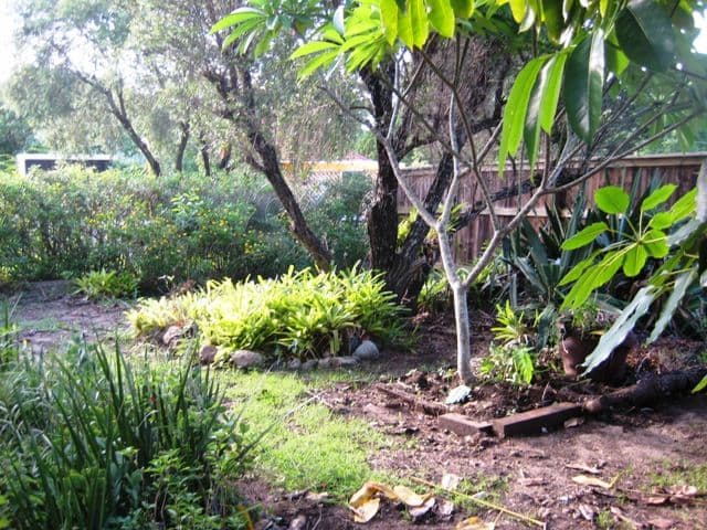 162 Clara Street, CORINDA QLD 4075, Corinda - Thumbnail 3