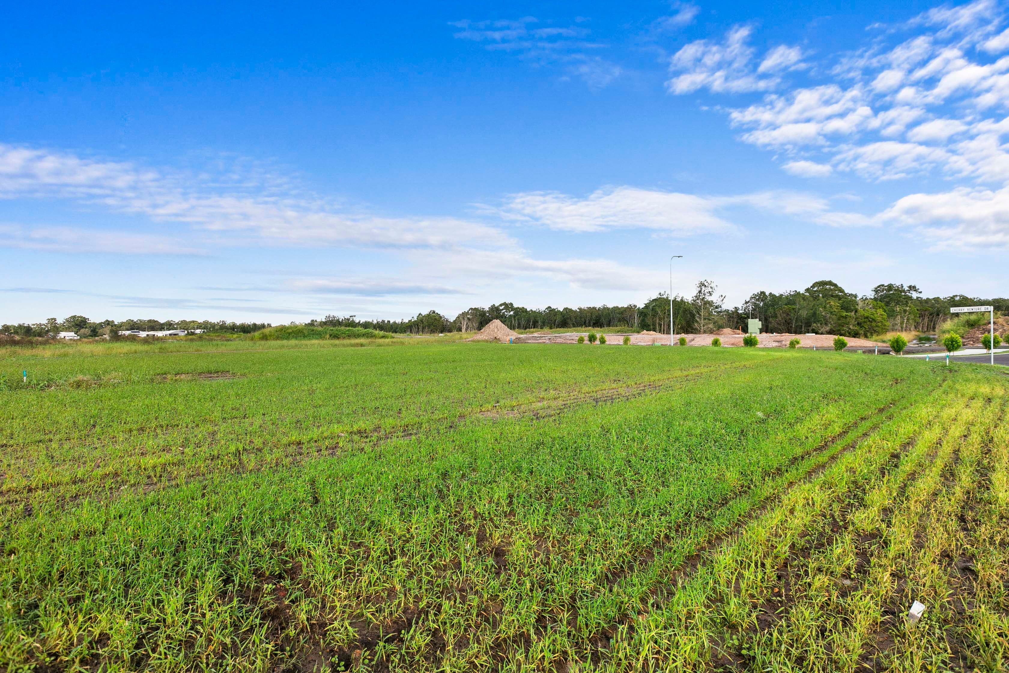 10 Frederick Circuit, Eli Waters QLD 4655, Eli Waters - Thumbnail 4