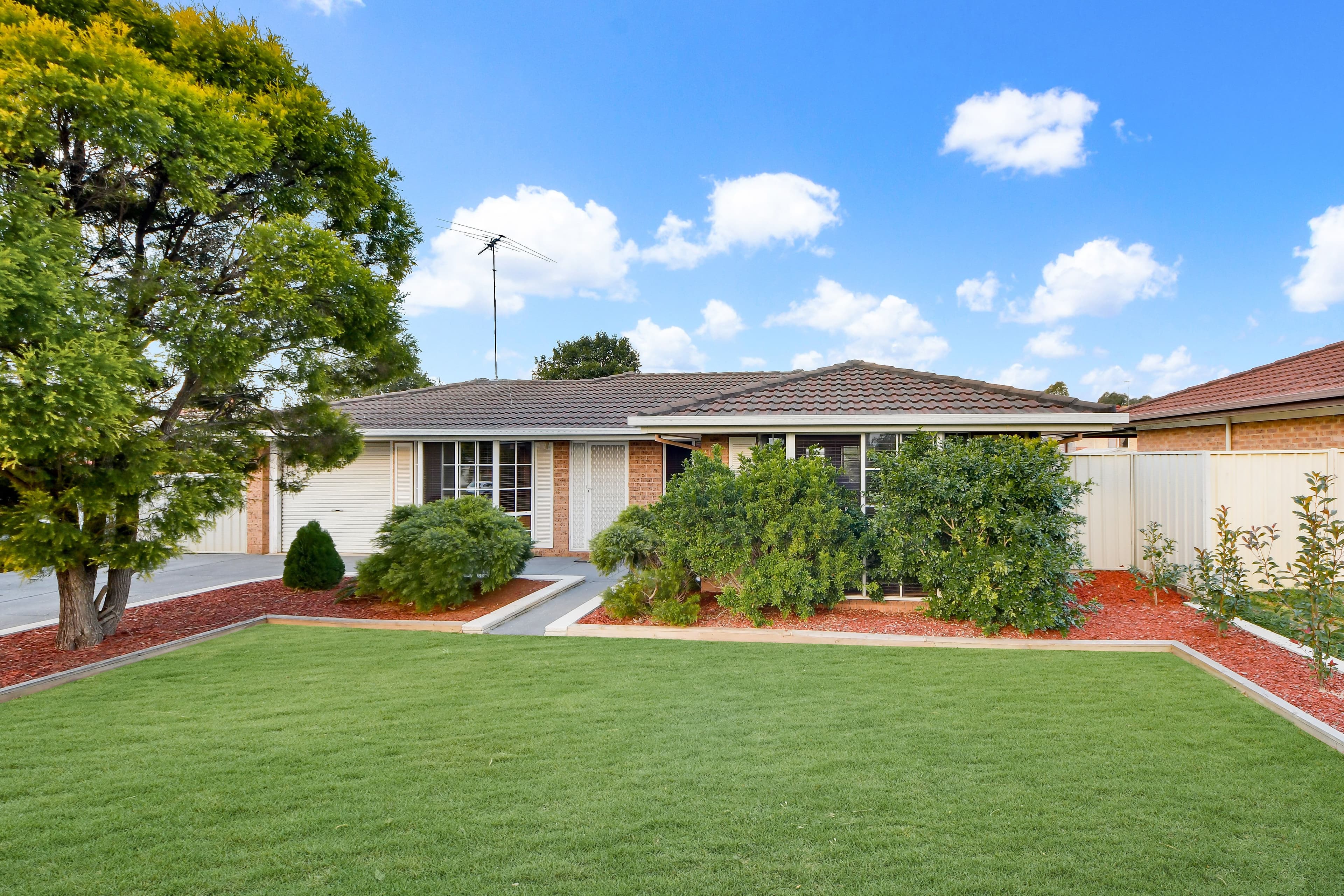 3 Packenham Place, Mount Annan - Image 1