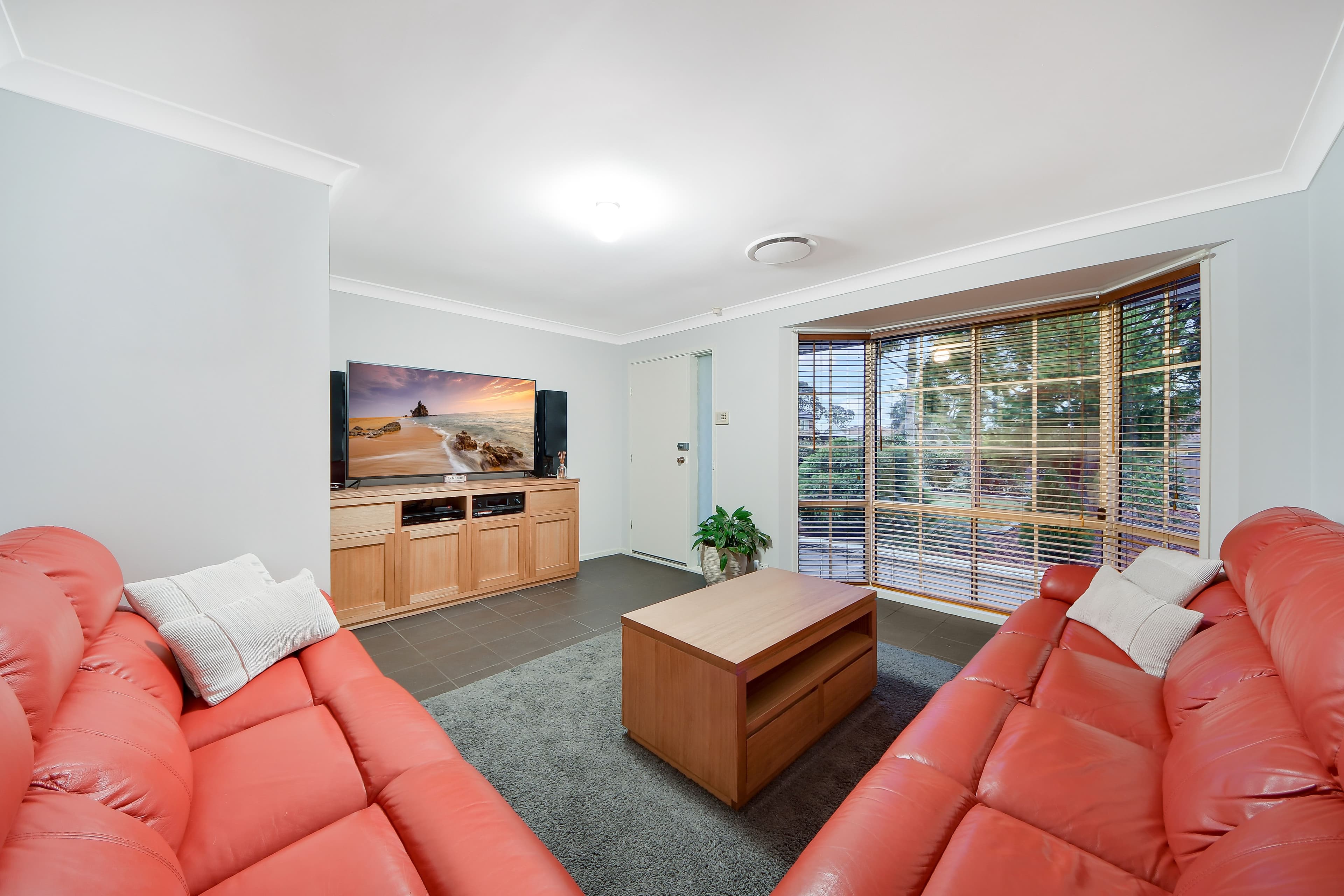 3 Packenham Place, Mount Annan - Thumbnail 2
