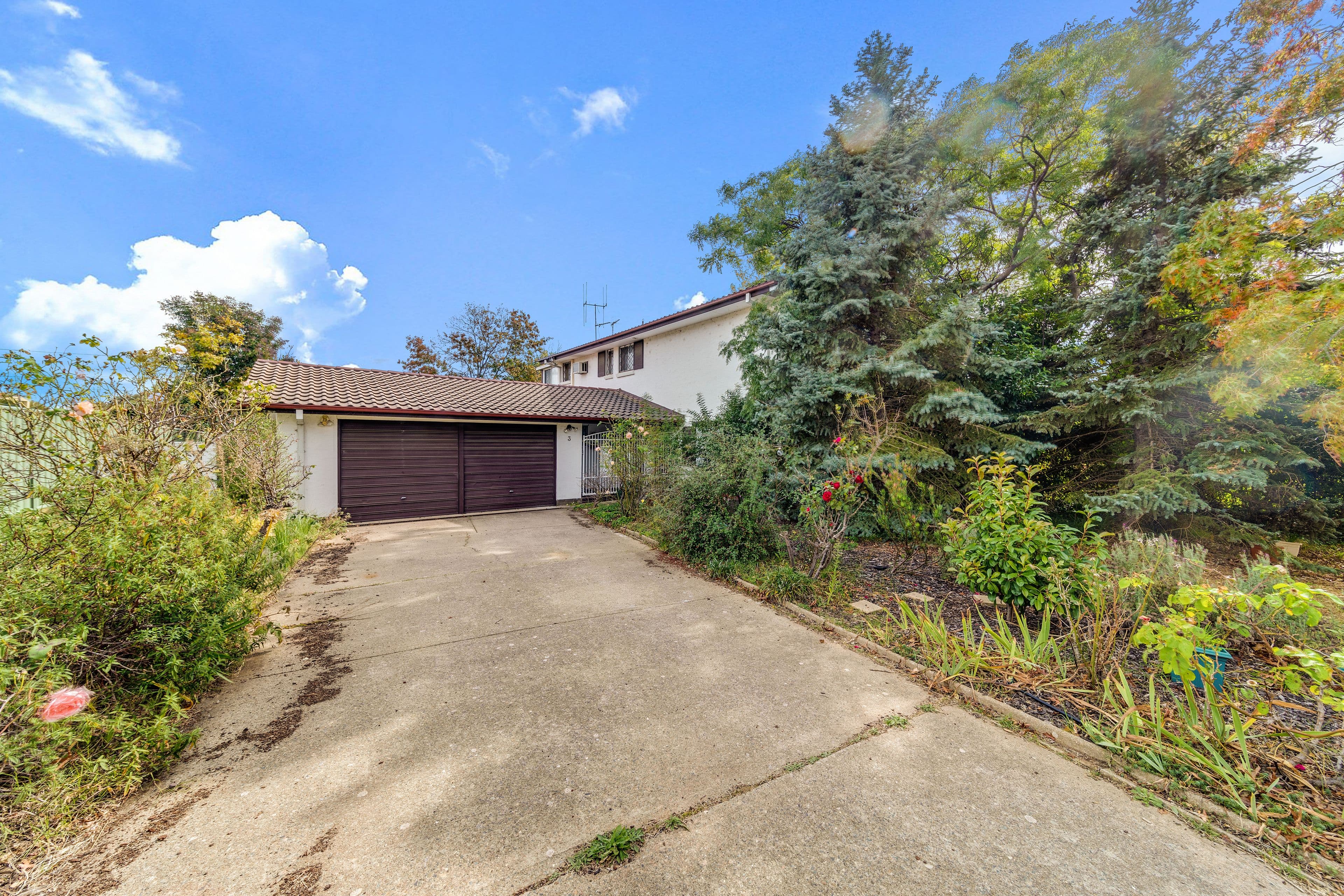 3 Smith Street, Weetangera ACT 2614, Weetangera - Image 1