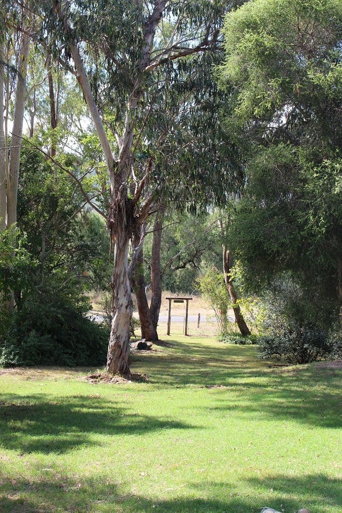 8295 Copeton Dam Road, Bingara - Thumbnail 3