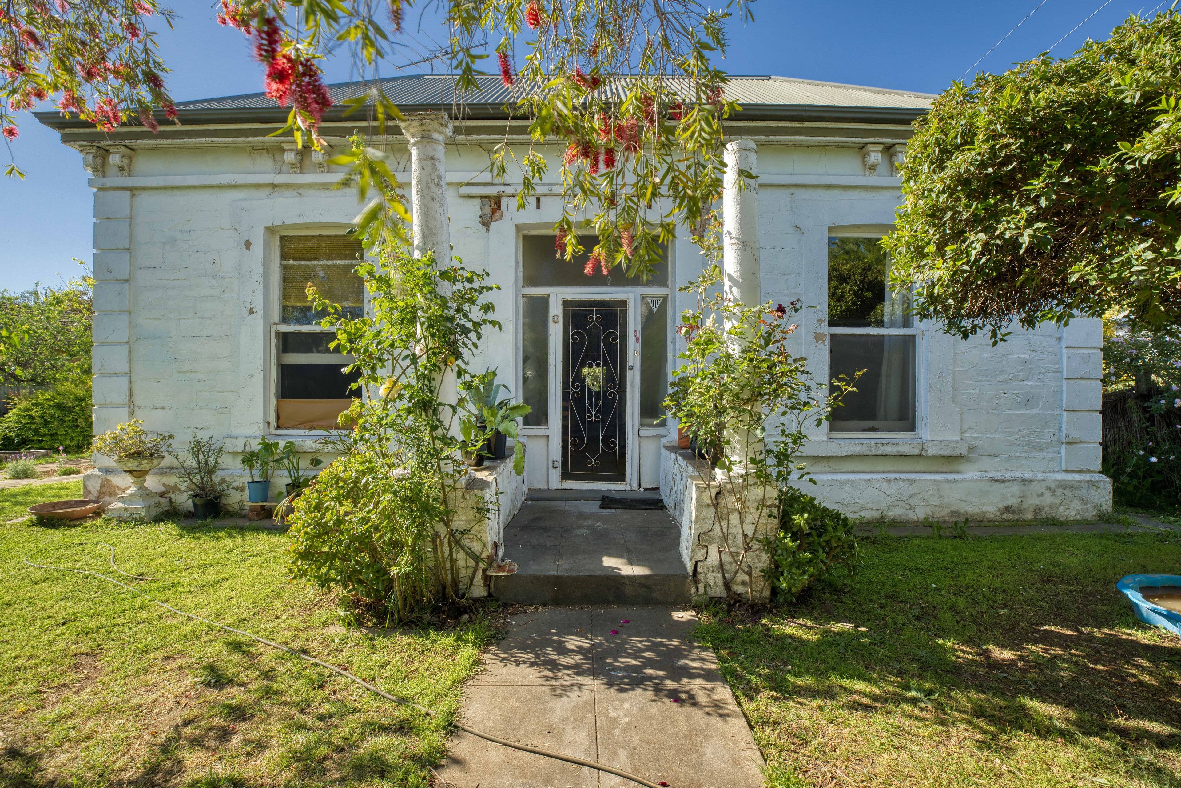 36 Albert Street, Goodwood SA 5034, Goodwood - Image 1