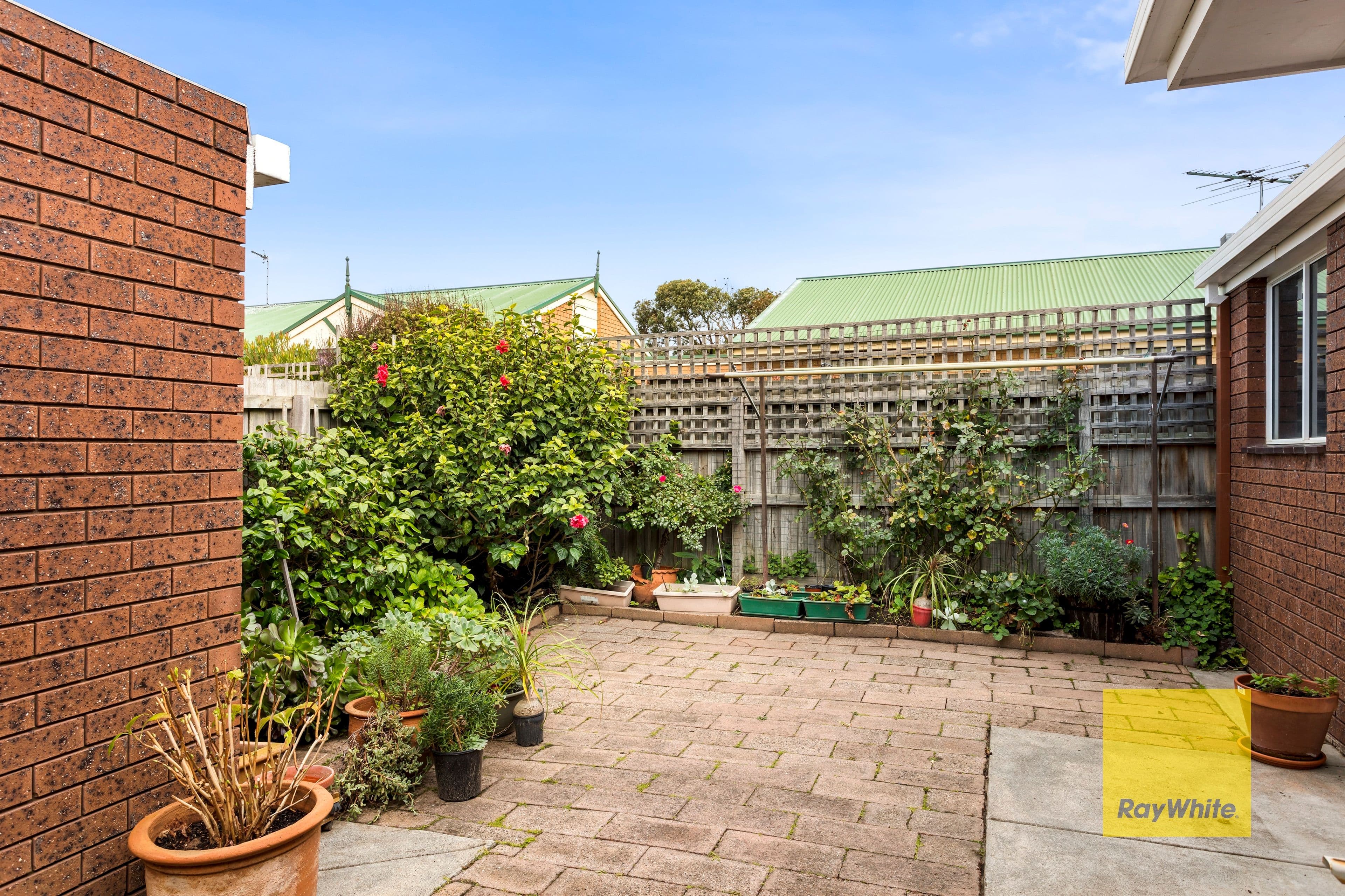 19 Bieske Road, Grovedale VIC 3216, Grovedale - Thumbnail 8