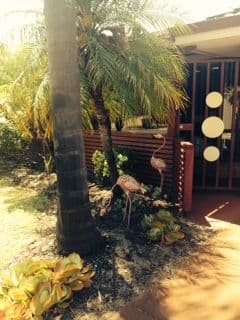 66 Bottlebrush Drive, Kiara WA 6054, Kiara - Thumbnail 7