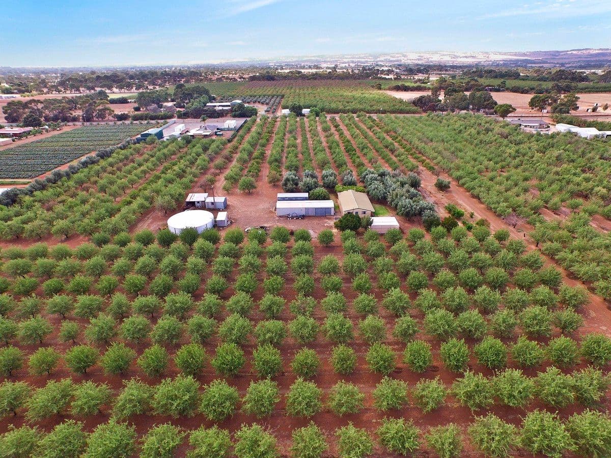Lot 14 Wingate Road, Hillier SA 5116, Hillier - Image 1