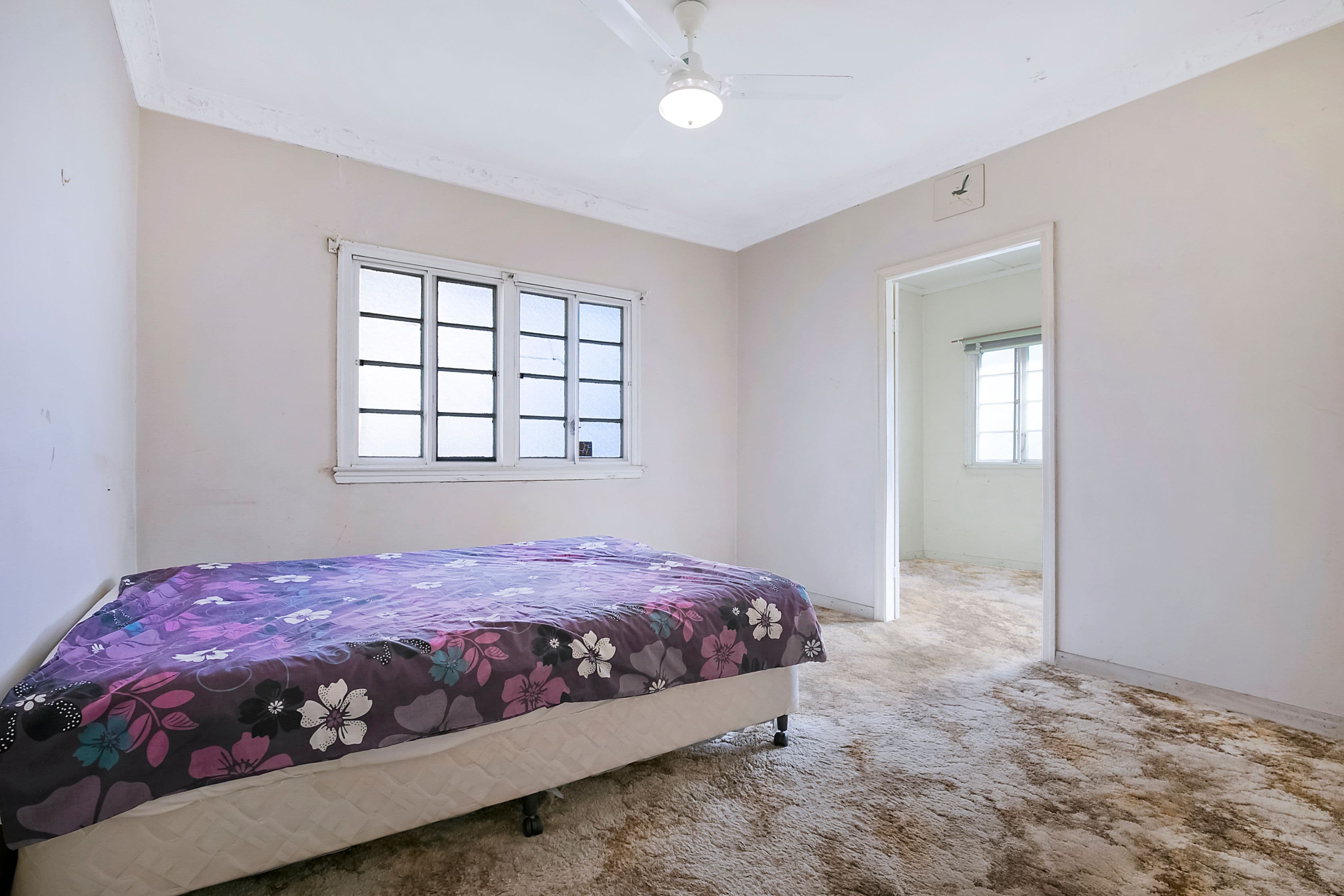 30 Carnation Road, Manly West QLD 4179, Manly West - Thumbnail 7