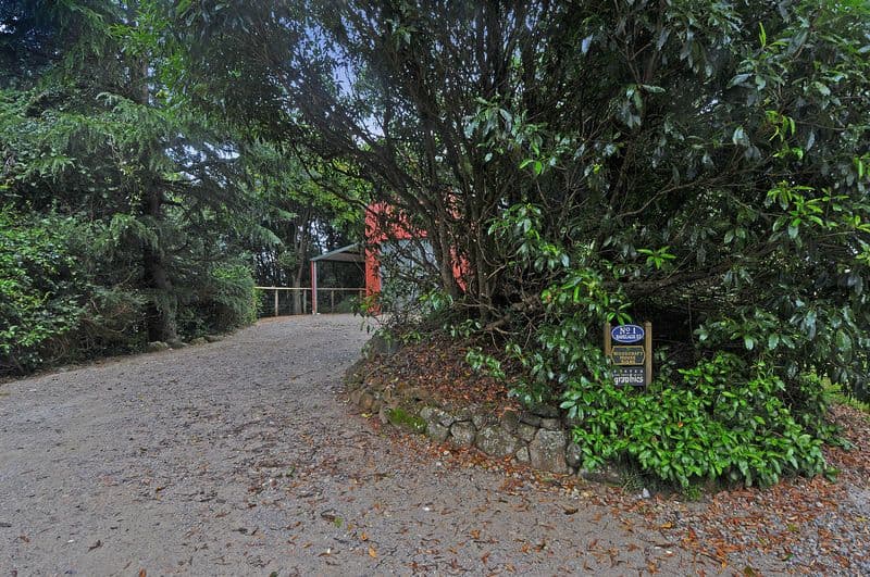 1 Ranelagh Street, ROBERTSON NSW 2577, Robertson - Thumbnail 7