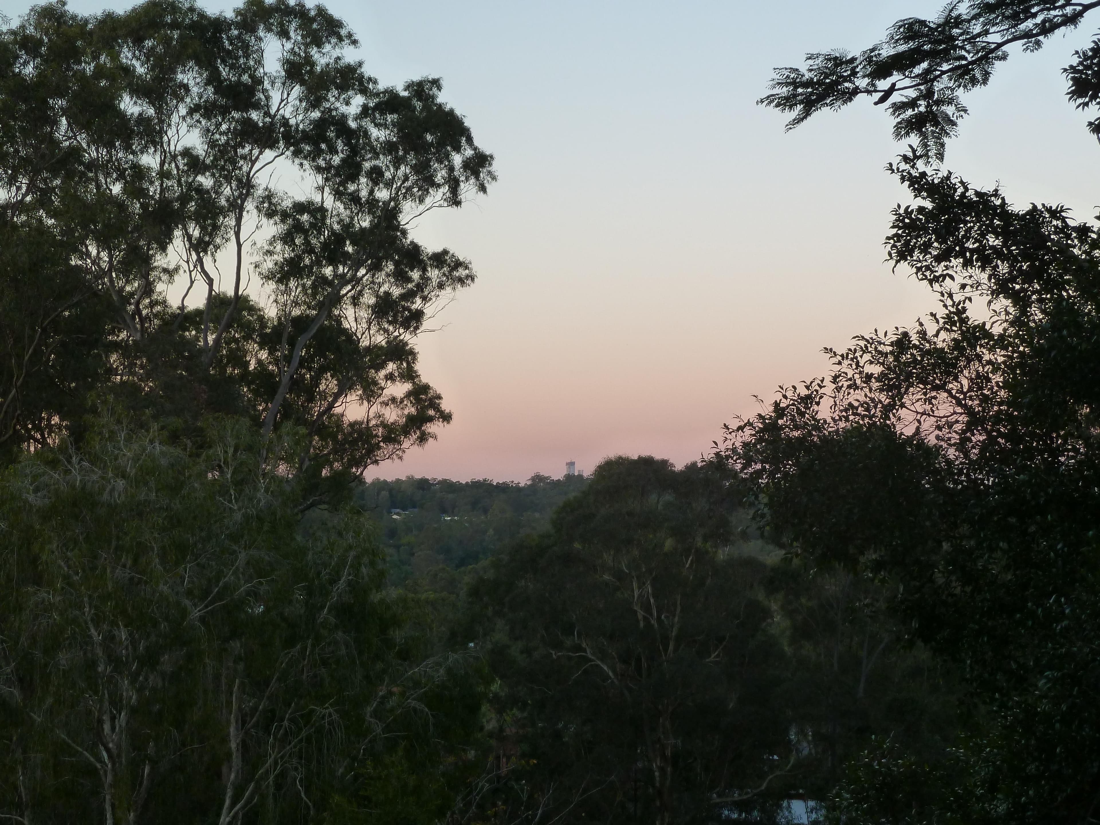 95 Bielby Road, CHAPEL HILL QLD 4069, Chapel Hill - Thumbnail 4