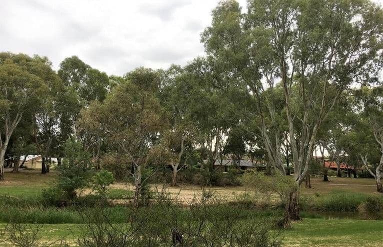 60 Riverview Drive, Paradise SA 5075, Paradise - Thumbnail 4