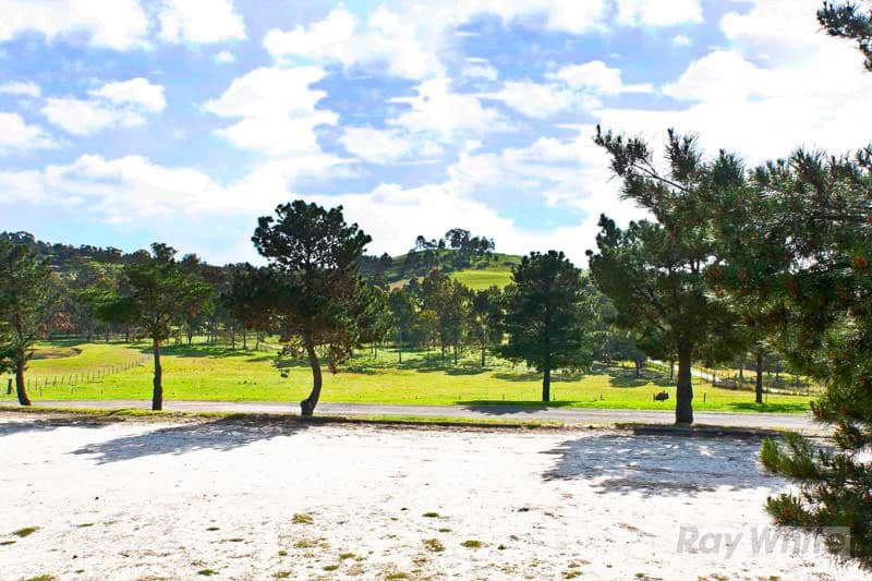 12 Bancroft Road, ABBOTSBURY NSW 2176, Abbotsbury - Thumbnail 5