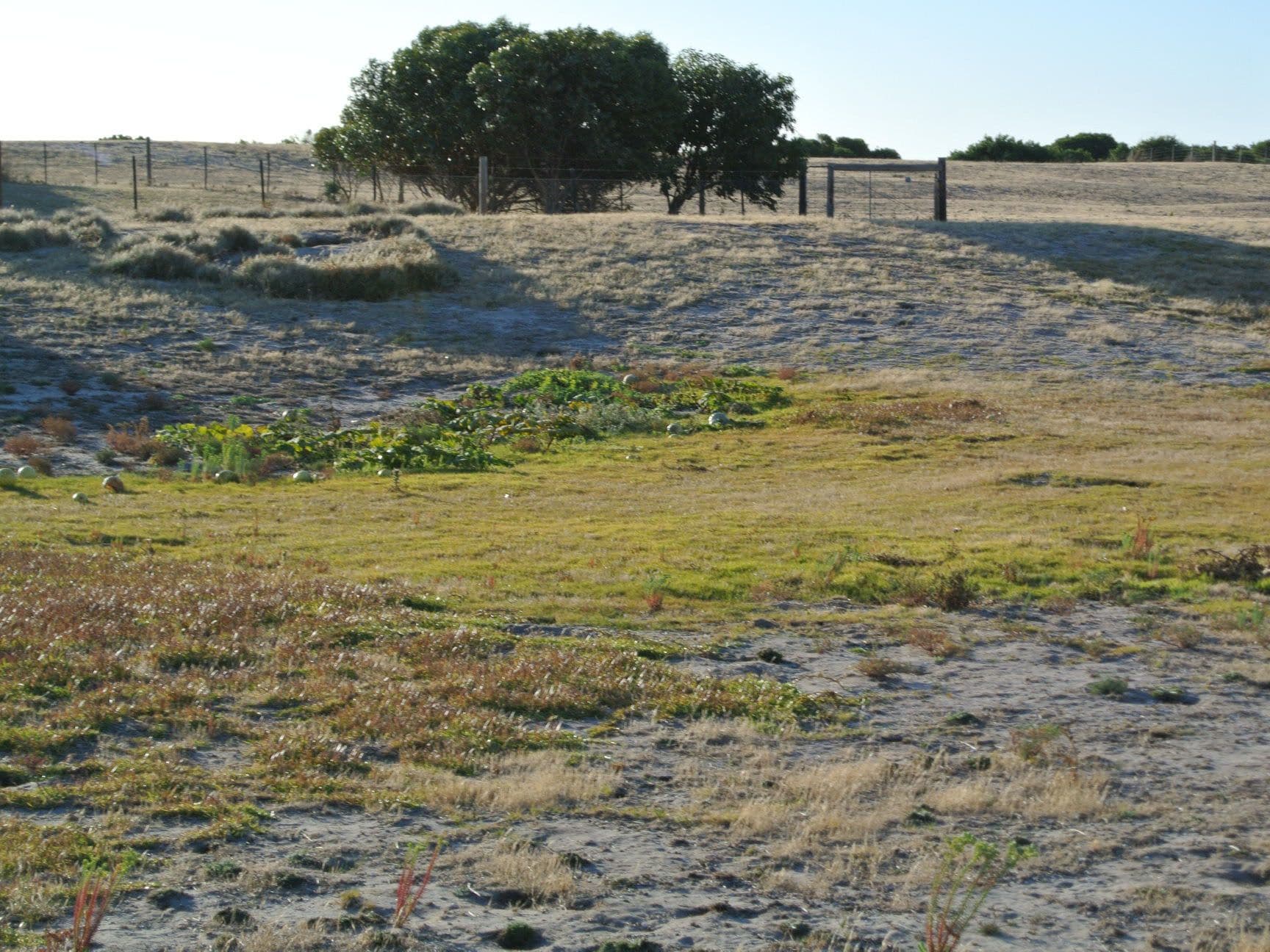 3 Toop North Road, Kingston Se SA 5275, Kingston Se - Thumbnail 7