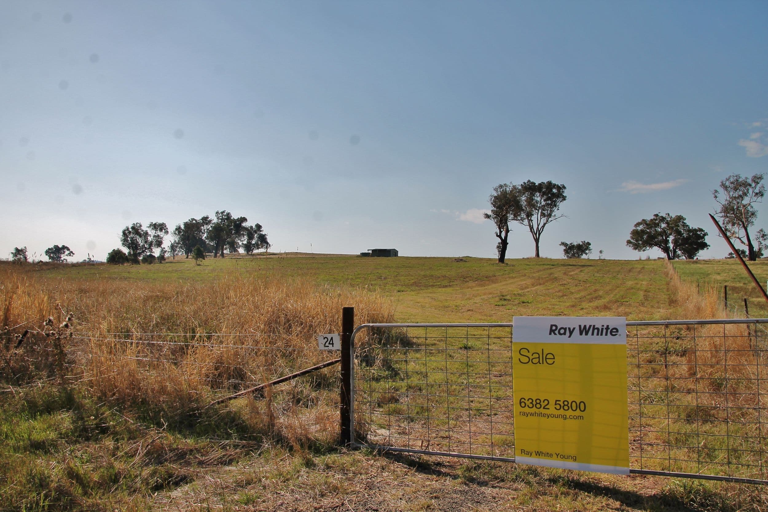 24 Hazelton Place MURRINGO via, Young NSW 2594, Young - Thumbnail 2