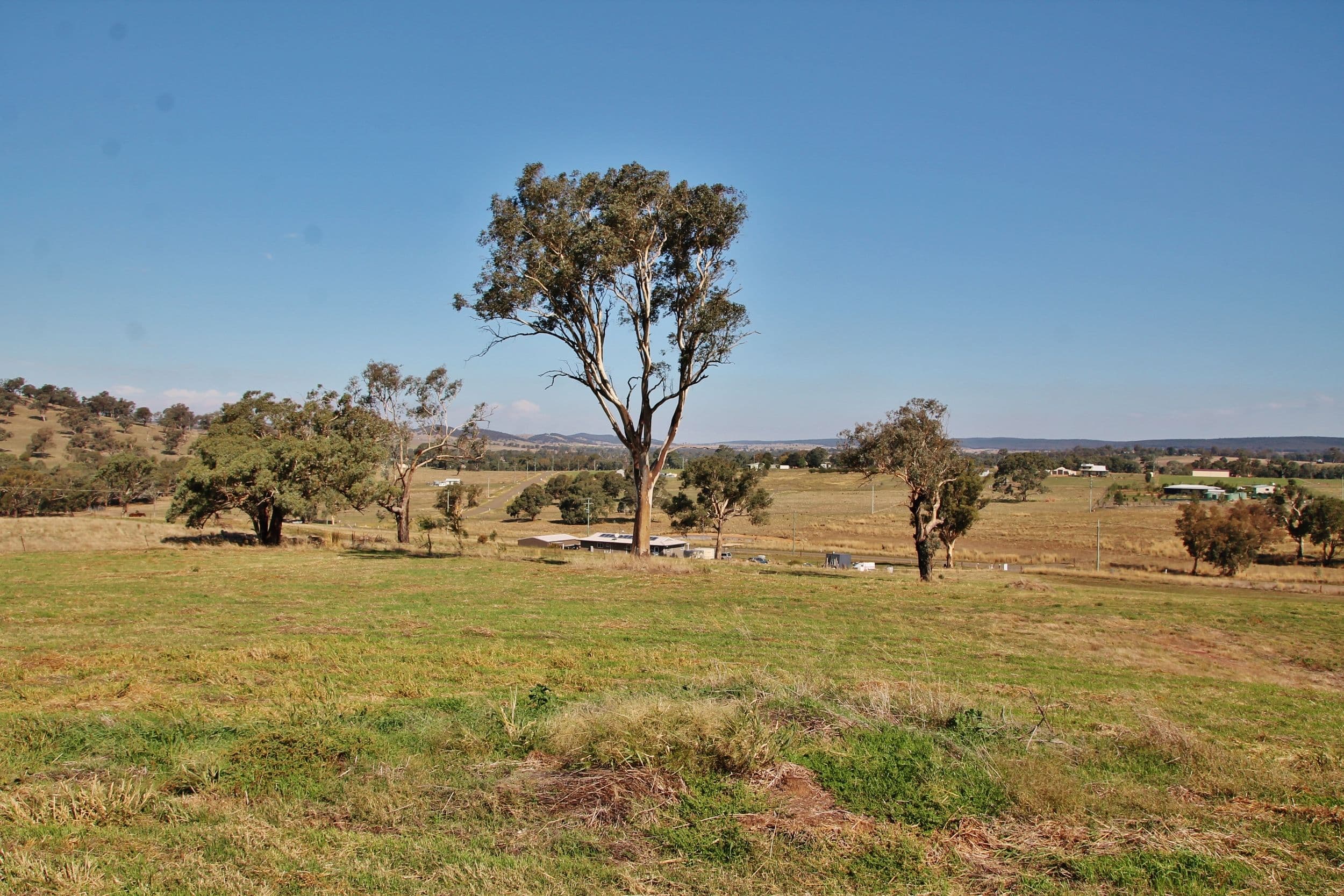 24 Hazelton Place MURRINGO via, Young NSW 2594, Young - Thumbnail 7