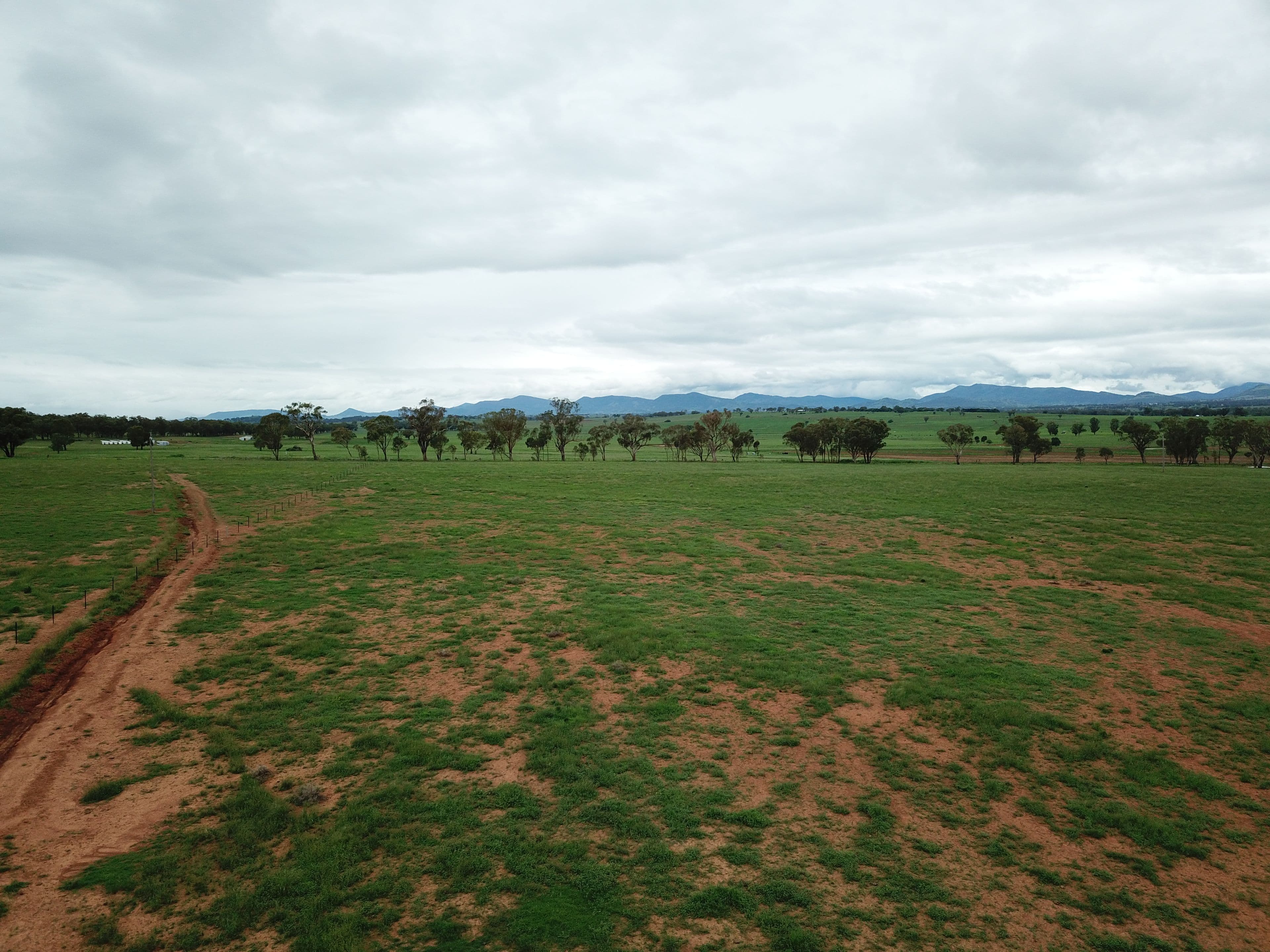 Lot 4234 Meadows Lane, Tamworth NSW 2340, Tamworth - Thumbnail 4
