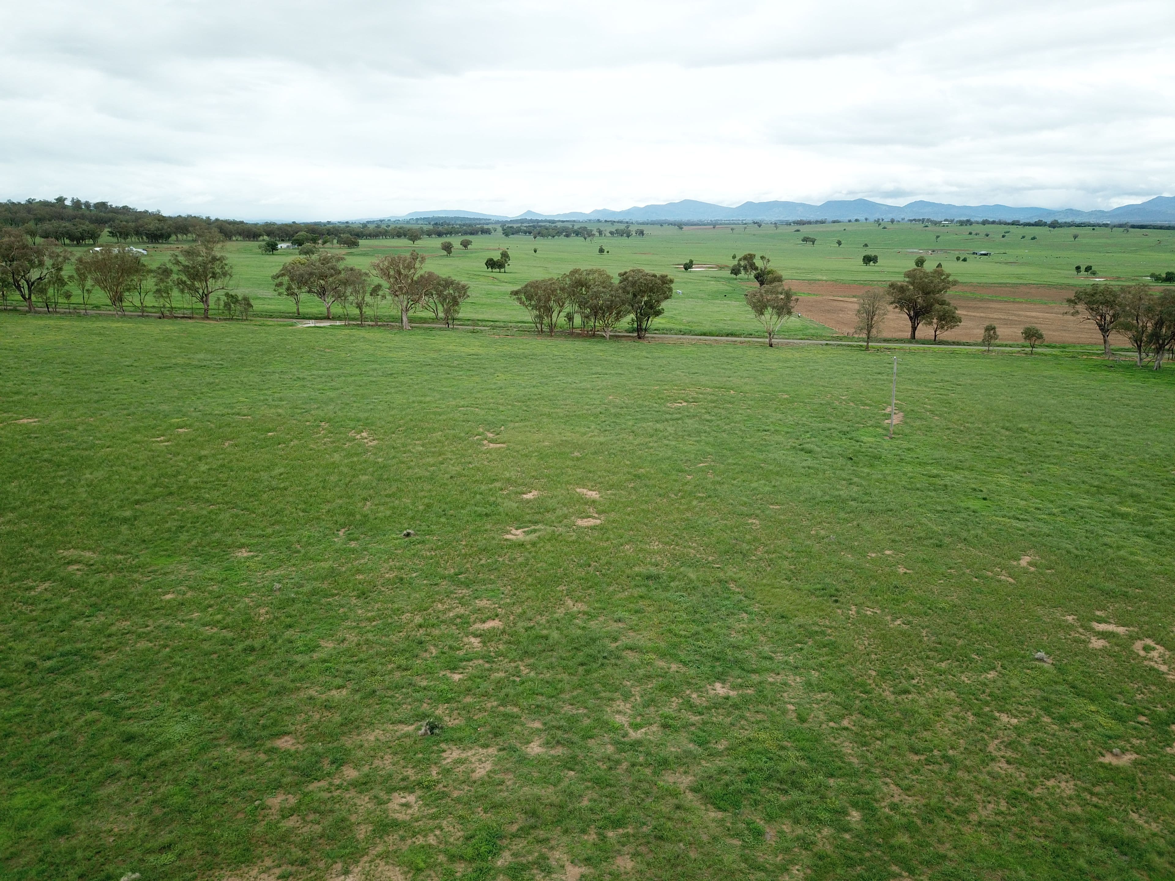 Lot 4234 Meadows Lane, Tamworth NSW 2340, Tamworth - Thumbnail 6