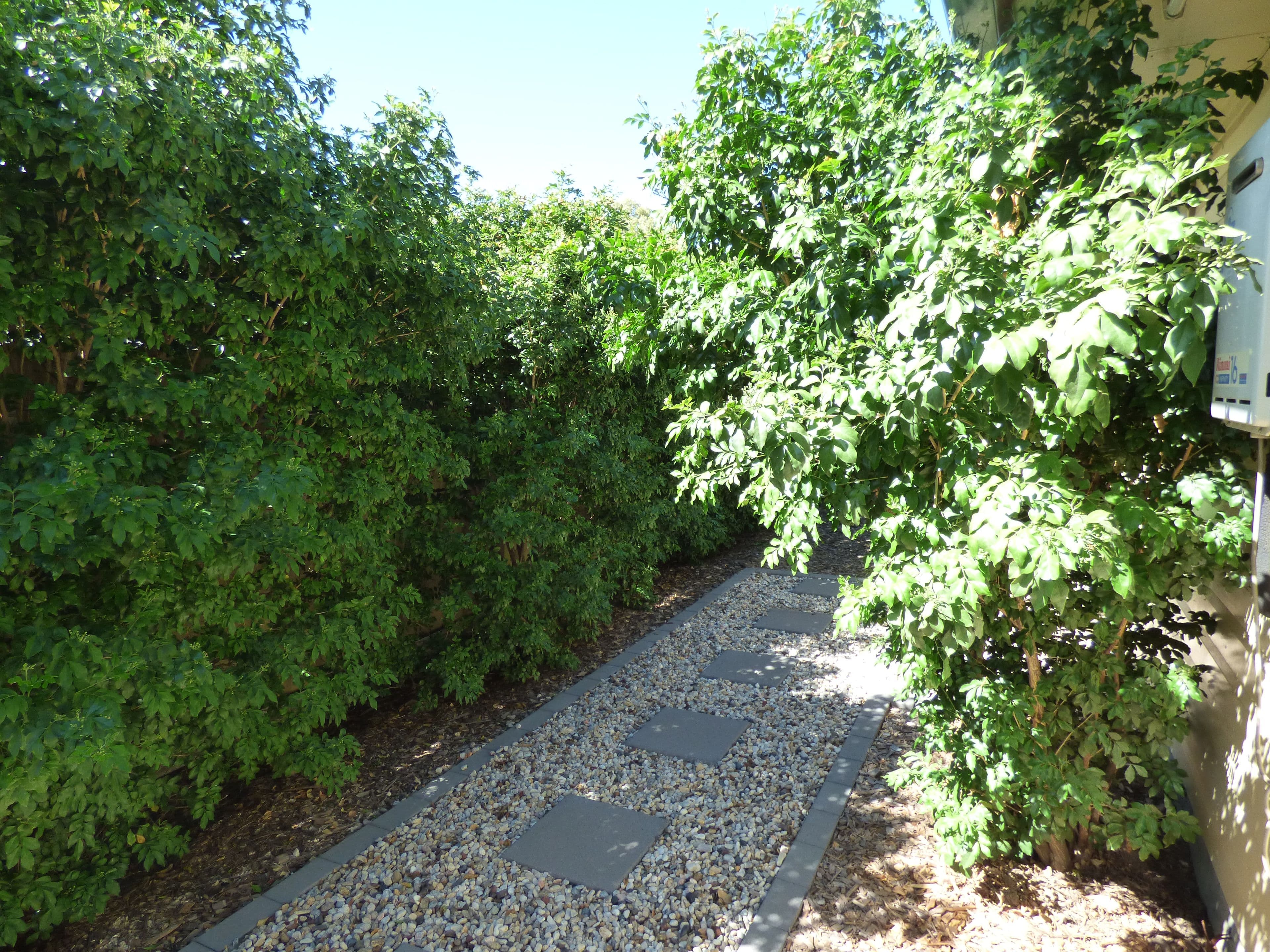 104 Wyndham Street, Roma QLD 4455, Roma - Thumbnail 3