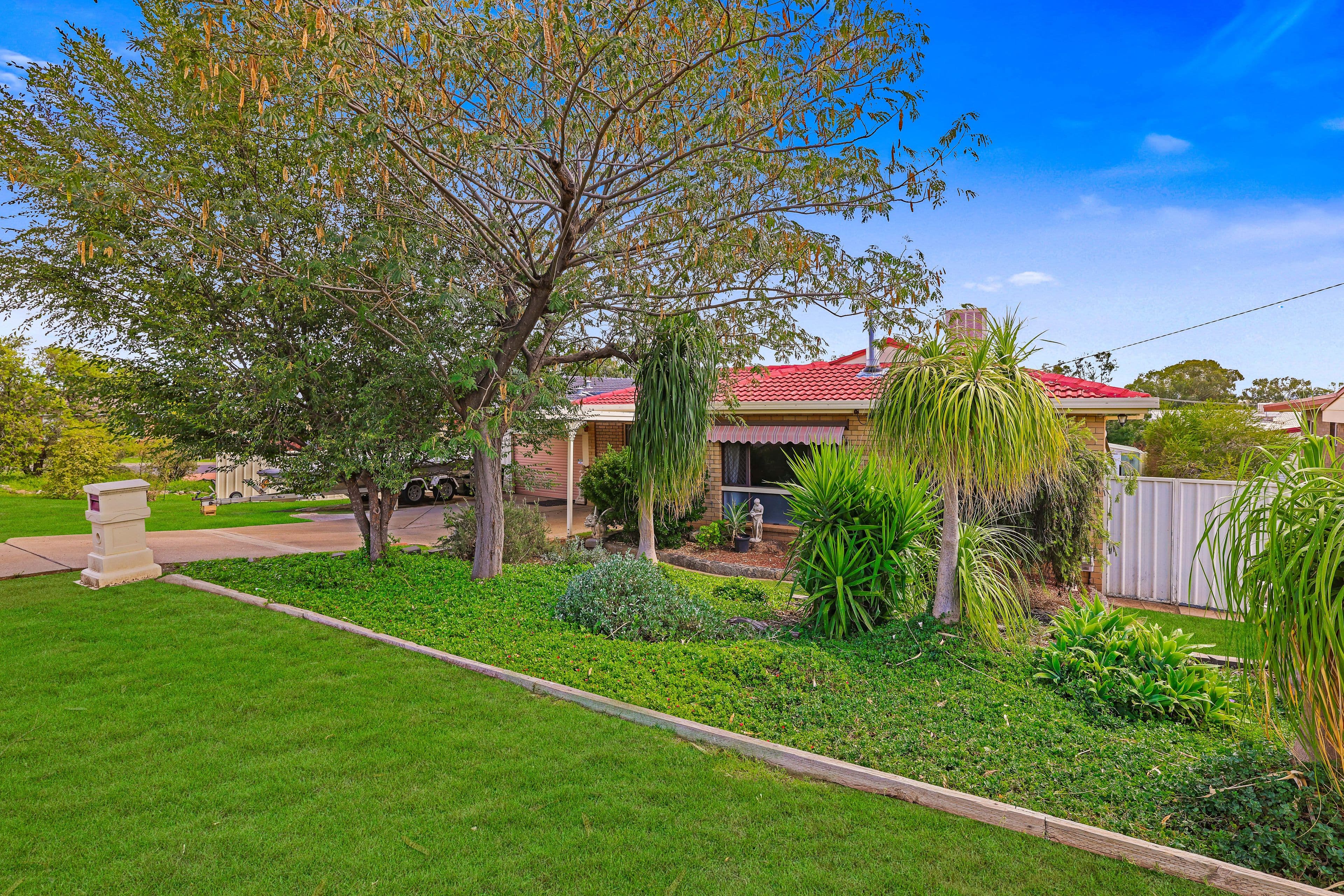 42 Cypress Street, Tamworth NSW 2340, Tamworth - Image 1