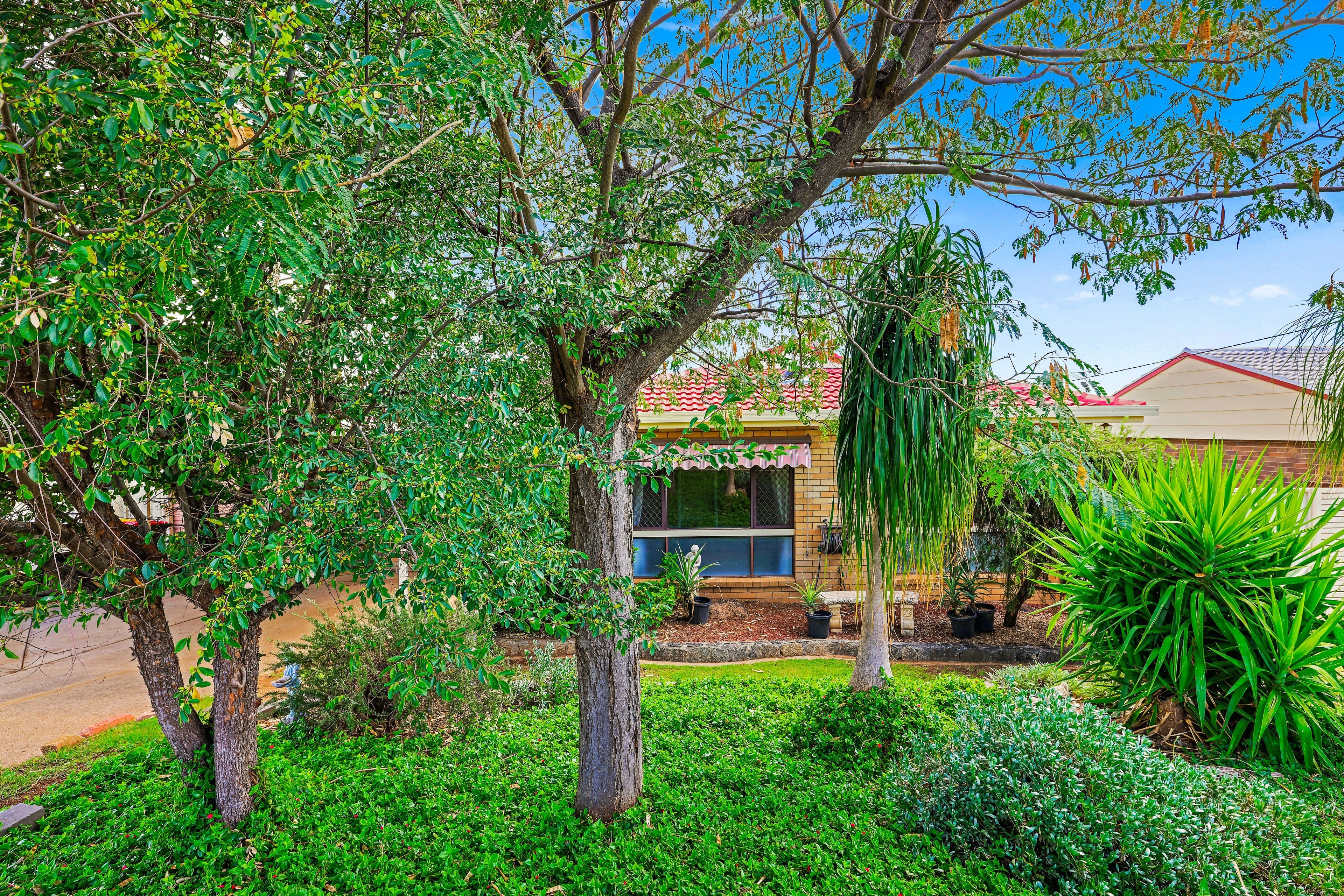 42 Cypress Street, Tamworth NSW 2340, Tamworth - Thumbnail 2