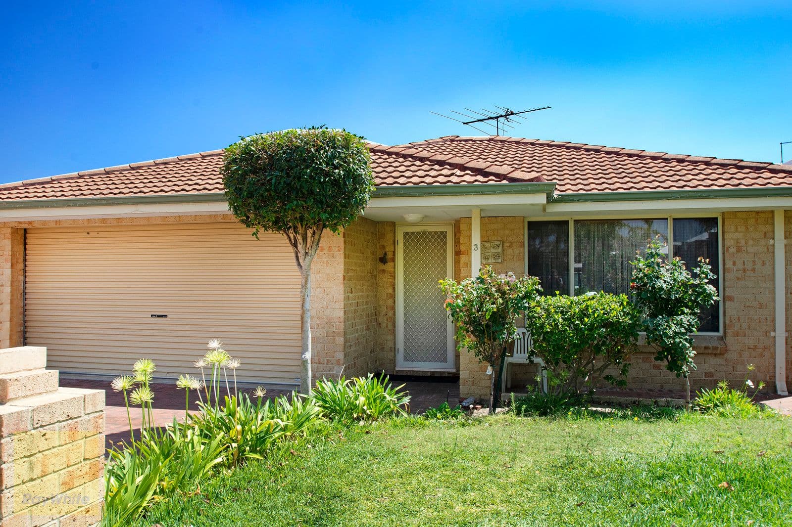 3 Berrigan Street, Nollamara WA 6061, Nollamara - Image 1