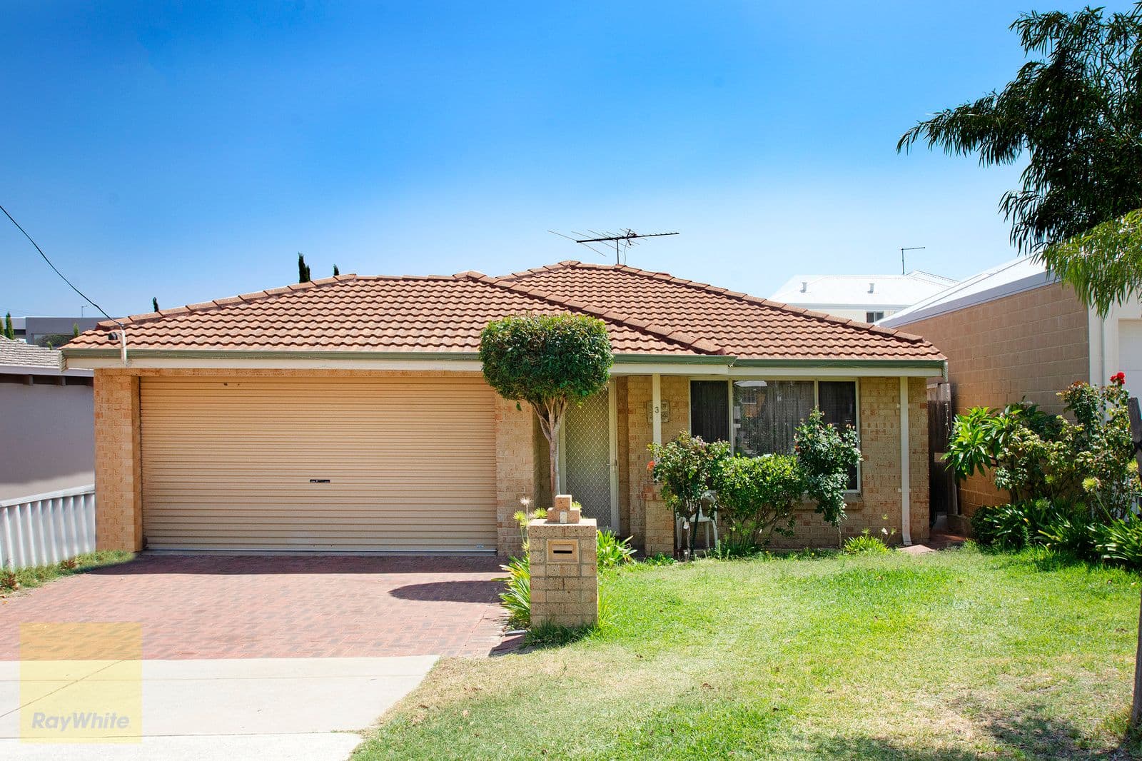 3 Berrigan Street, Nollamara WA 6061, Nollamara - Thumbnail 3