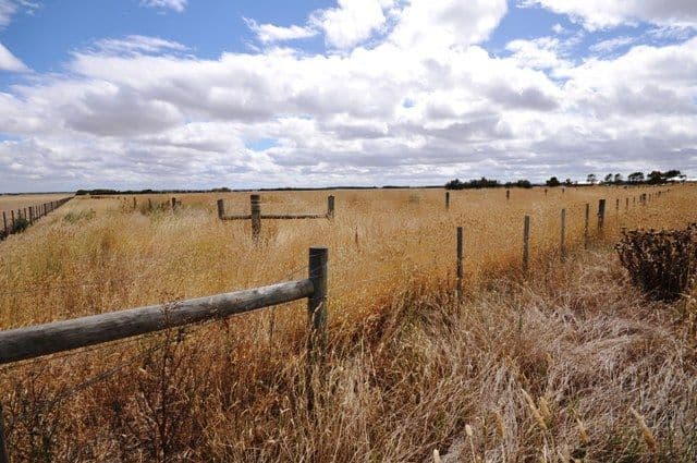 100 Phillips Lane, WINCHELSEA VIC 3241, Winchelsea - Thumbnail 8