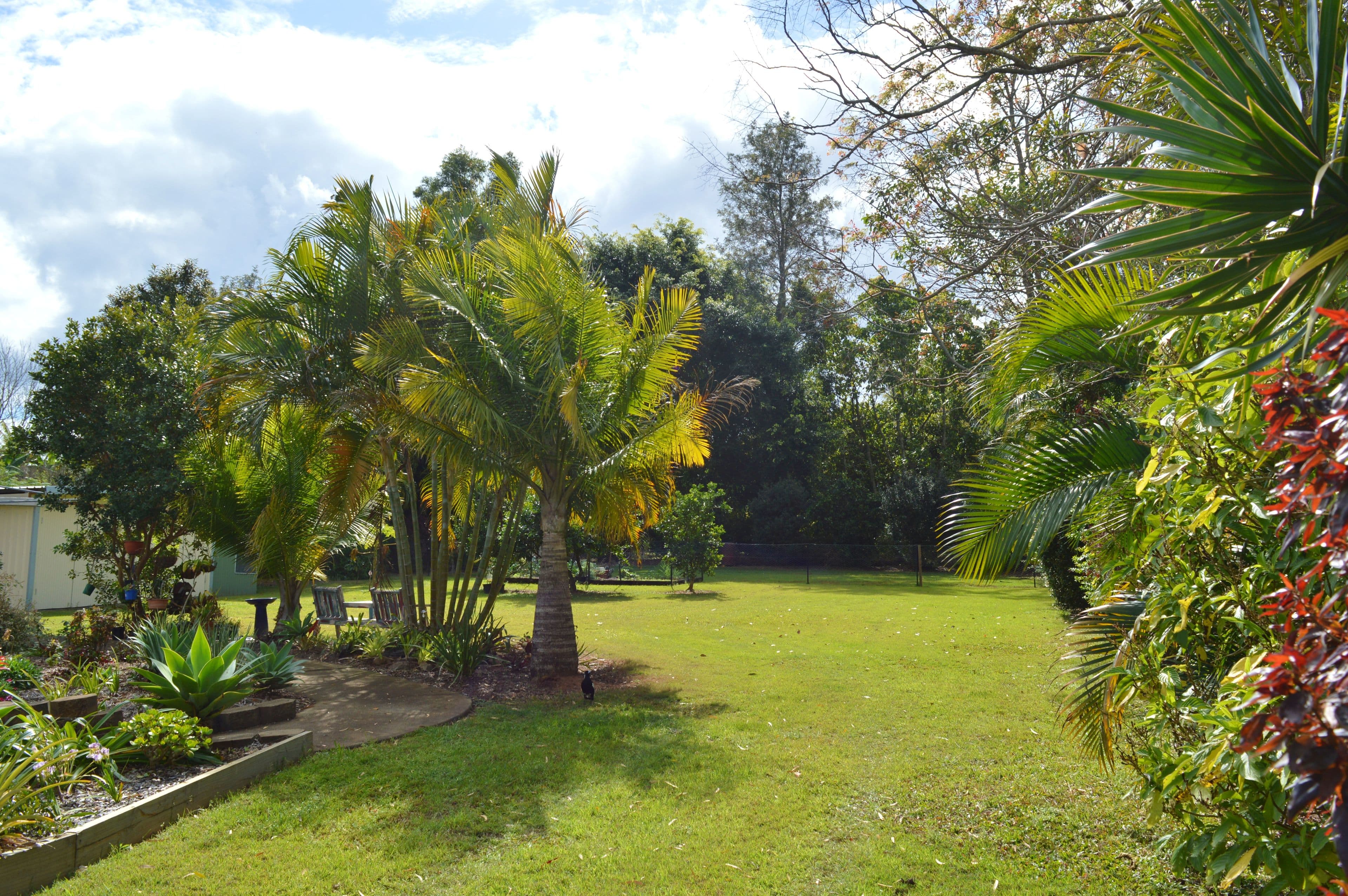 27 Mountainview Place, Glass House Mountains QLD 4518, Glass House Mountains - Thumbnail 6