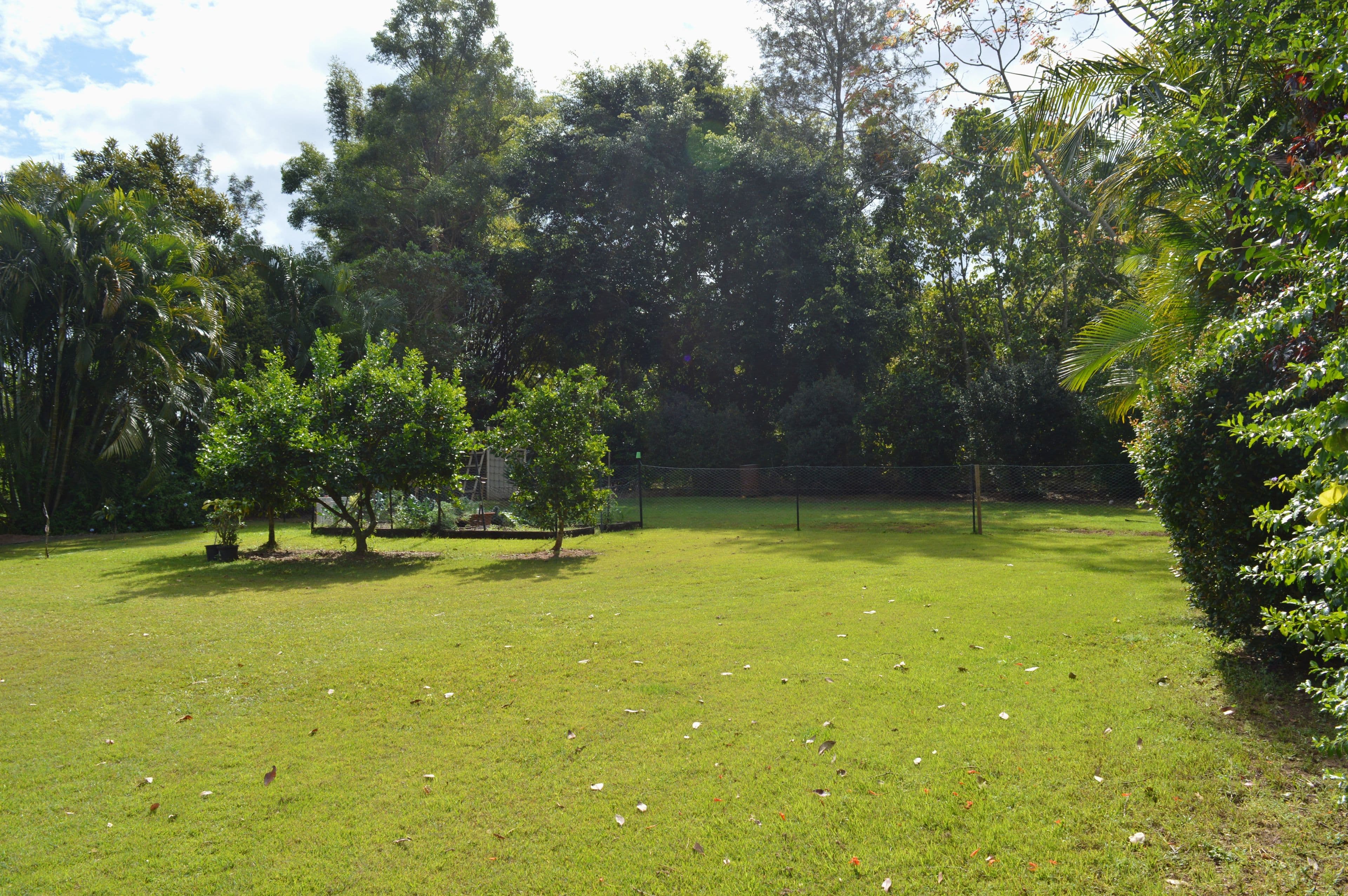 27 Mountainview Place, Glass House Mountains QLD 4518, Glass House Mountains - Thumbnail 7